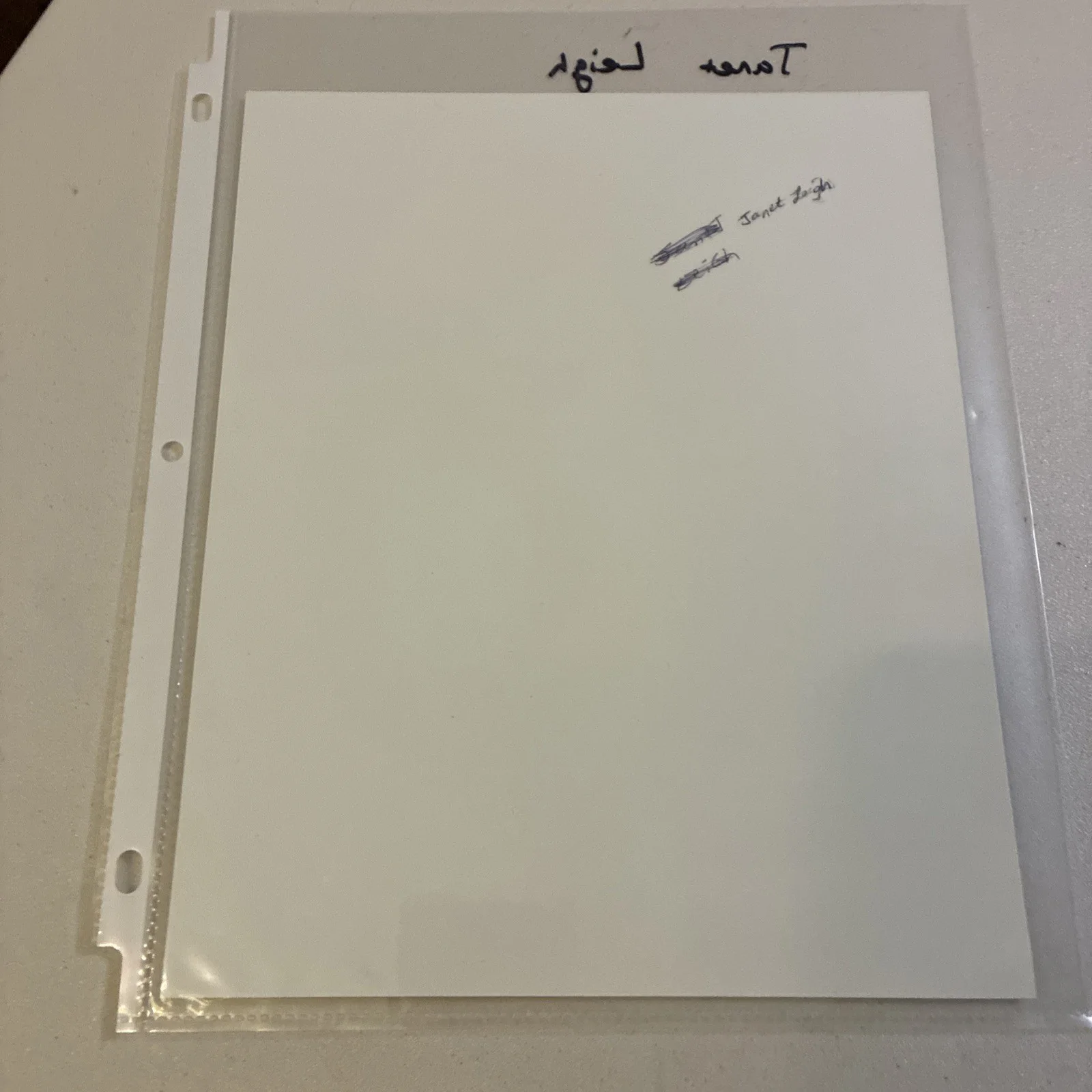 Older Repro 8x10 Photo Classic Actress Janet Leigh, изображение 2