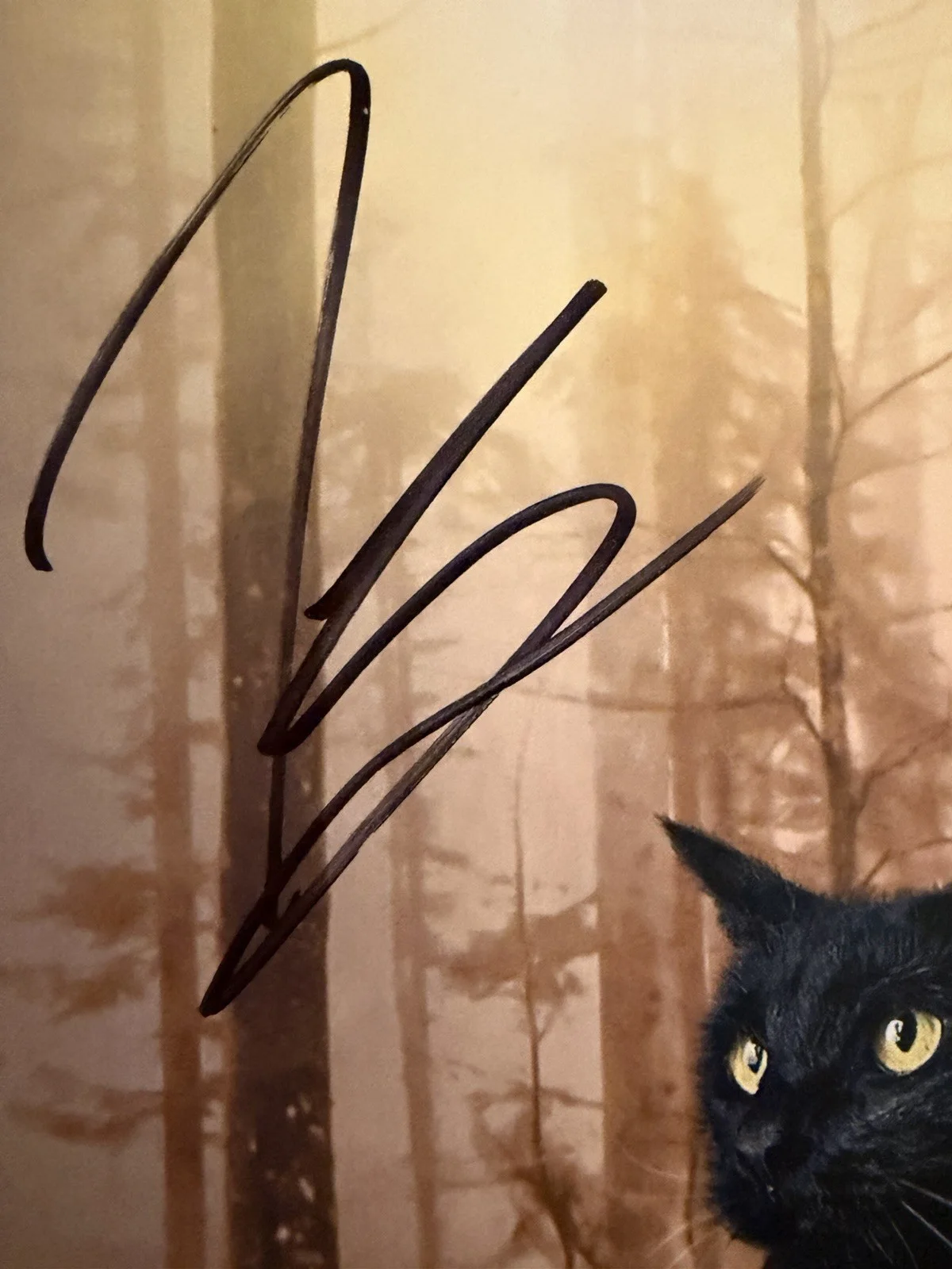 Kiernan Shipka — KIERNAN SHIKPA SIGNED 8x10 AUTOGRAPH SEXY SABRINA PHOTO BECKETT HOLO BV18498, изображение 2