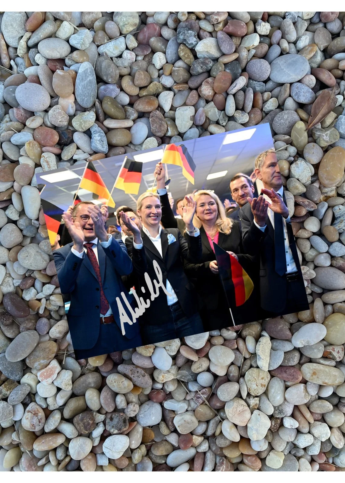 Alice Weidel German Bundestag Politician Framed Poster with Reprint Autograph, изображение 2