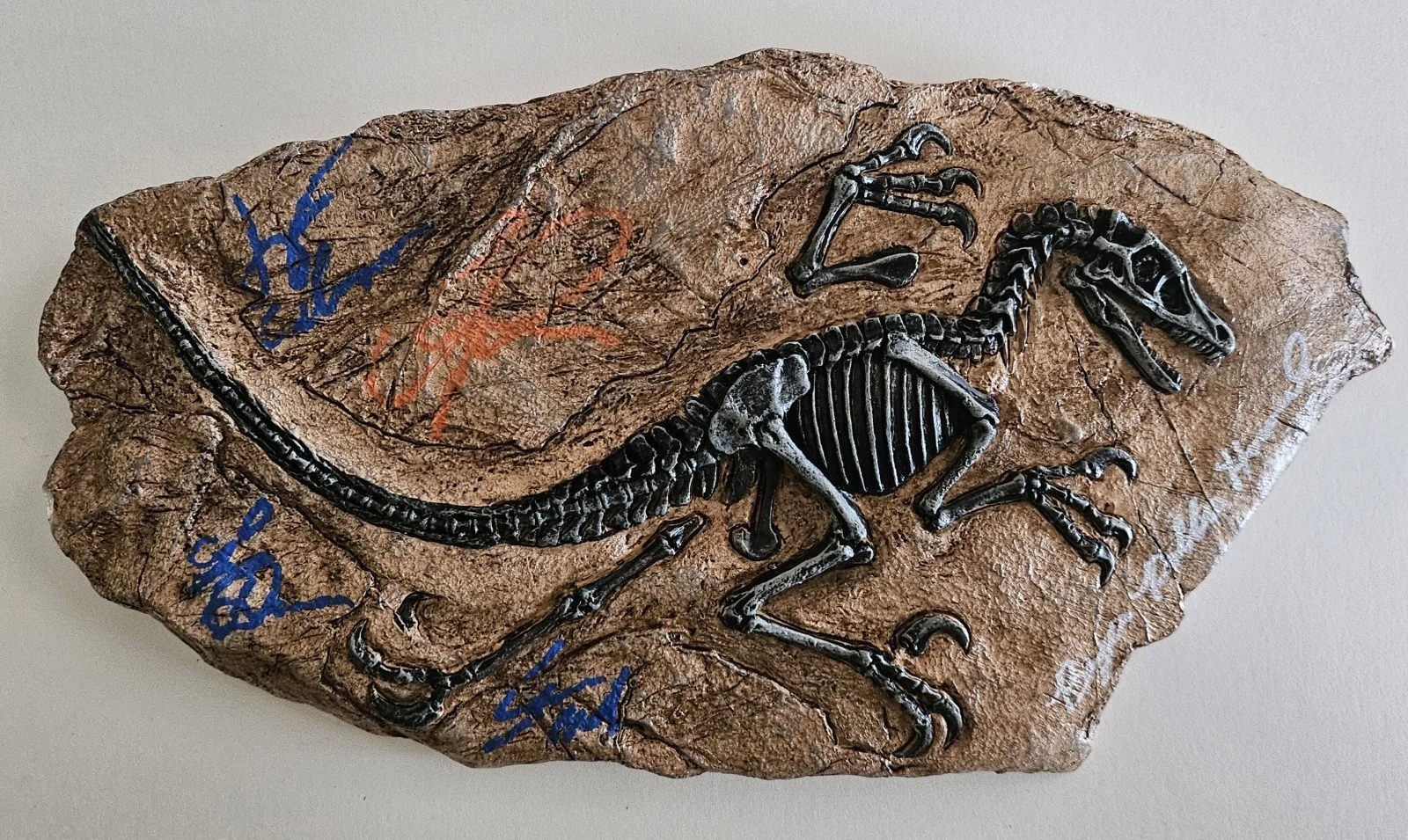 Neill, Pratt, Goldblum, Dern, Howard — Jurassic Park Raptor Fossil Multi Signed Neill Pratt Goldblum Dern Howard COA, изображение 2