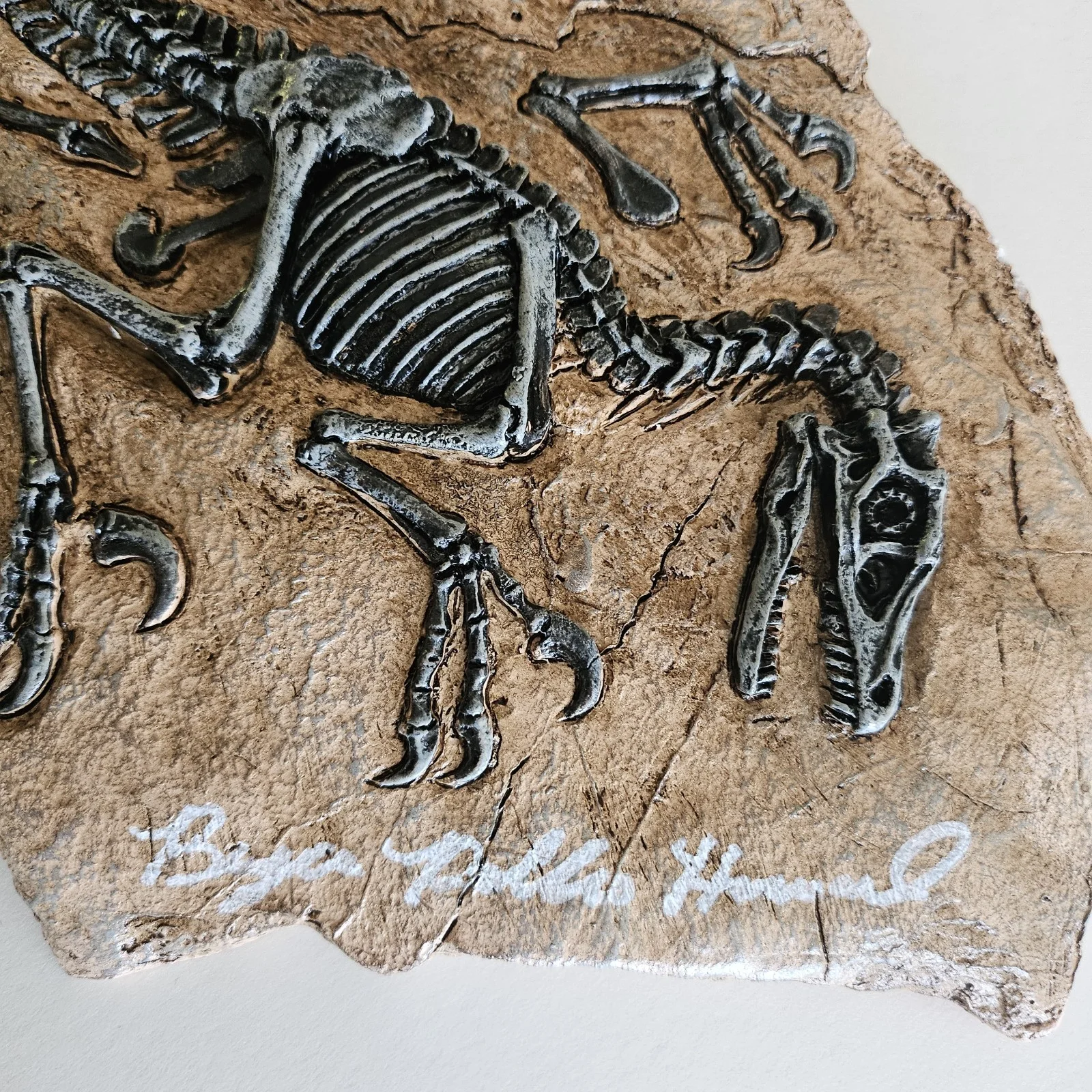 Neill, Pratt, Goldblum, Dern, Howard — Jurassic Park Raptor Fossil Multi Signed Neill Pratt Goldblum Dern Howard COA, изображение 3