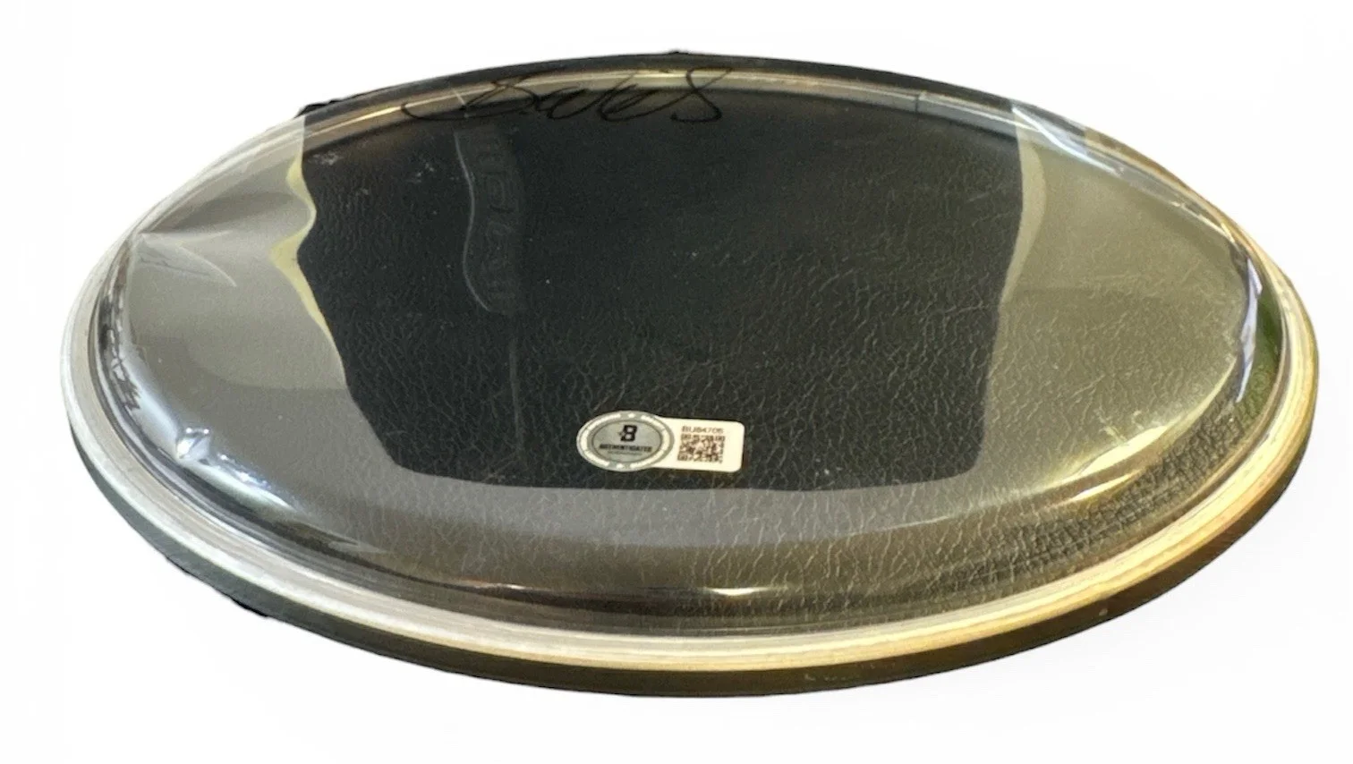 Brad Wilk Rage Against the Machine Autograph Signed Transparent Drumhead Beckett, image 5