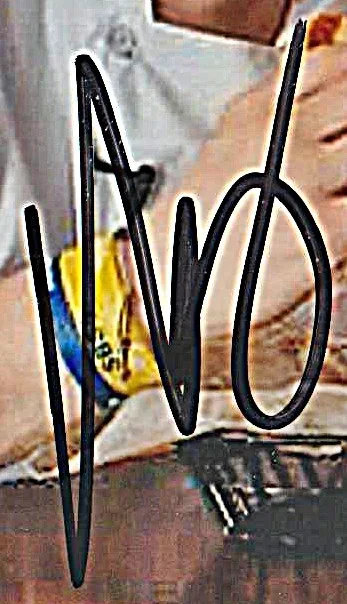 Paul Wahlberger — Paul "Paulie" Wahlberg Wahlburgers owner & TV show chef Alma Nova signed photo, изображение 2