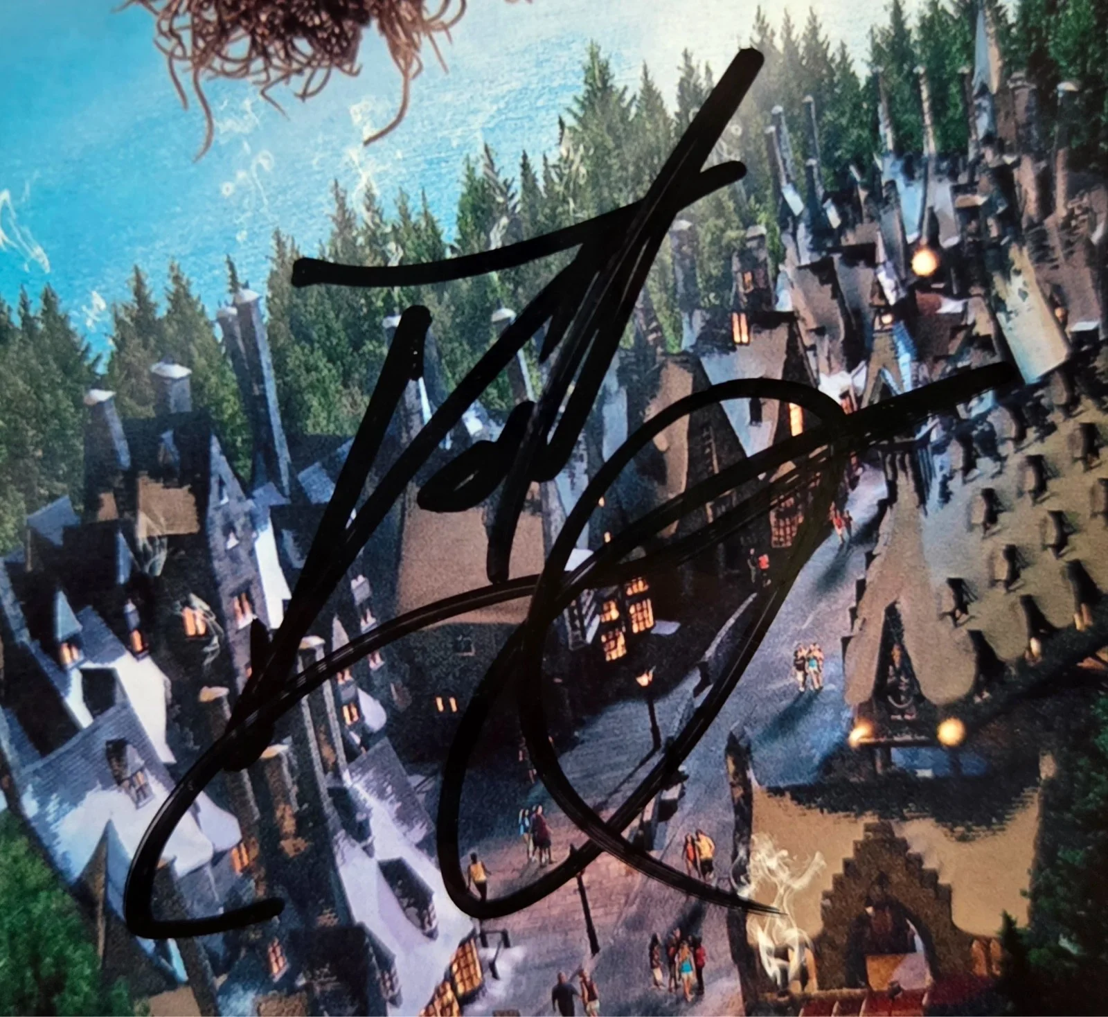 Daniel Radcliffe Hand Signed Autograph 8x10 Photo In Person Harry Potter Actor, image 2