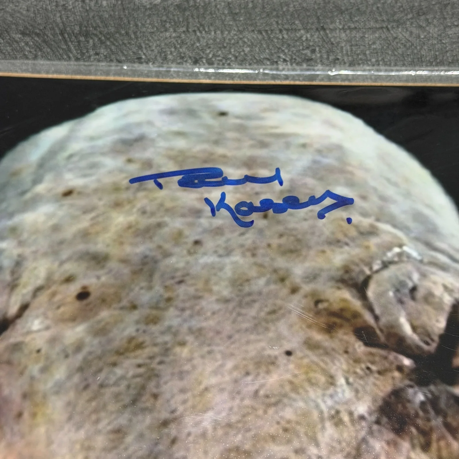 Paul Kasey — Star Wars Last Jedi Paul Kasey Signed C'ai Threnalli 8x10 Bam Box COA, image 2