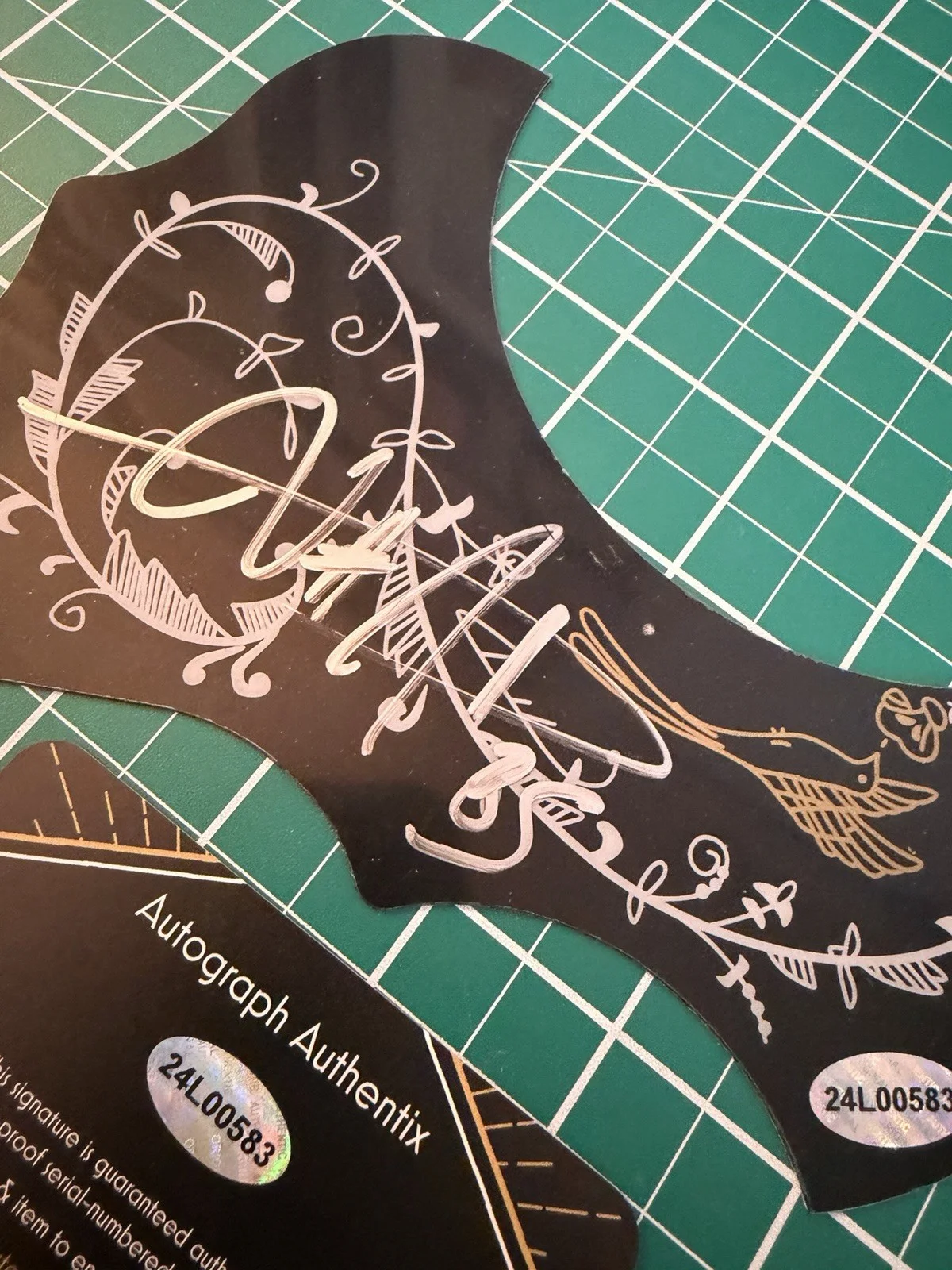 Billy Strings Signed Acoustic Guitar Pickguard Bluegrass Autograph COA, image 3