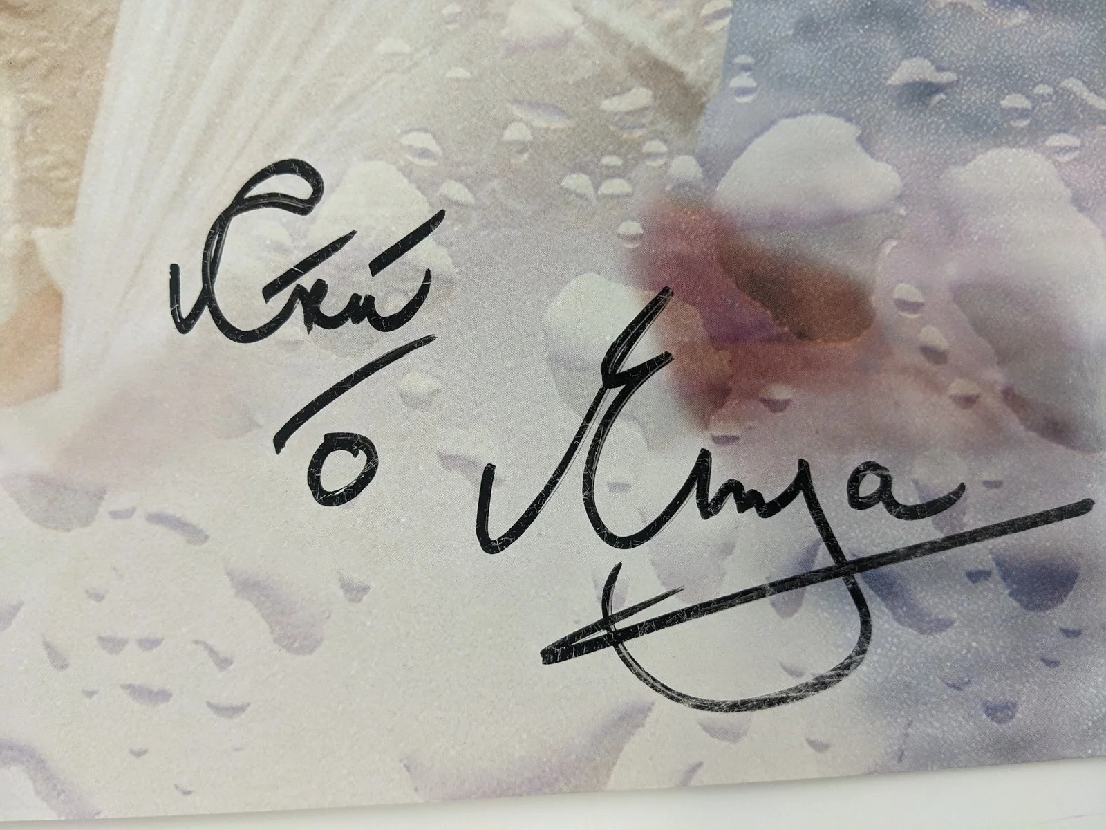 Enya Signed 18x24 Poster A Day without Rain Autographed Scraping JSA COA, image 3