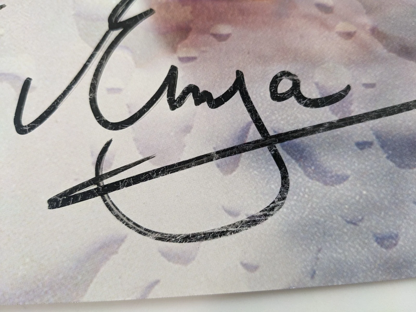 Enya Signed 18x24 Poster A Day without Rain Autographed Scraping JSA COA, image 4