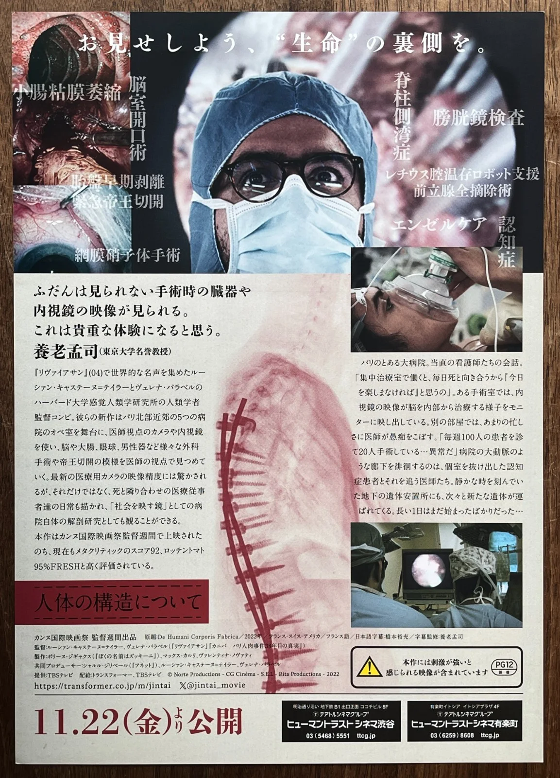 The Fabric of the Human Body - 2024 japan Chirashi movie flyer mini poster B5, изображение 2