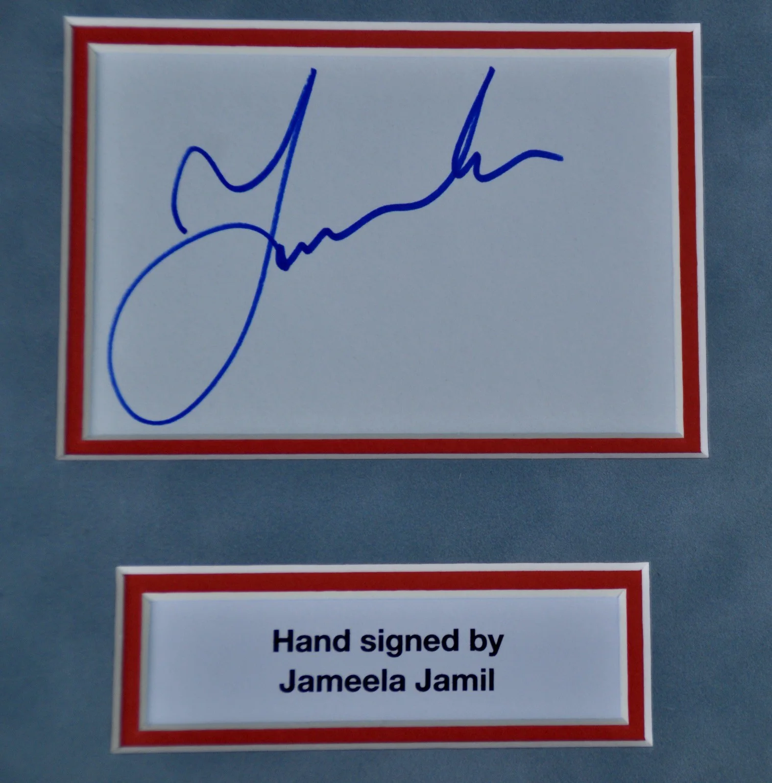 Jameela Jamil Signed Double Mounted A4 Presentation With COA Out Of Your League, image 2