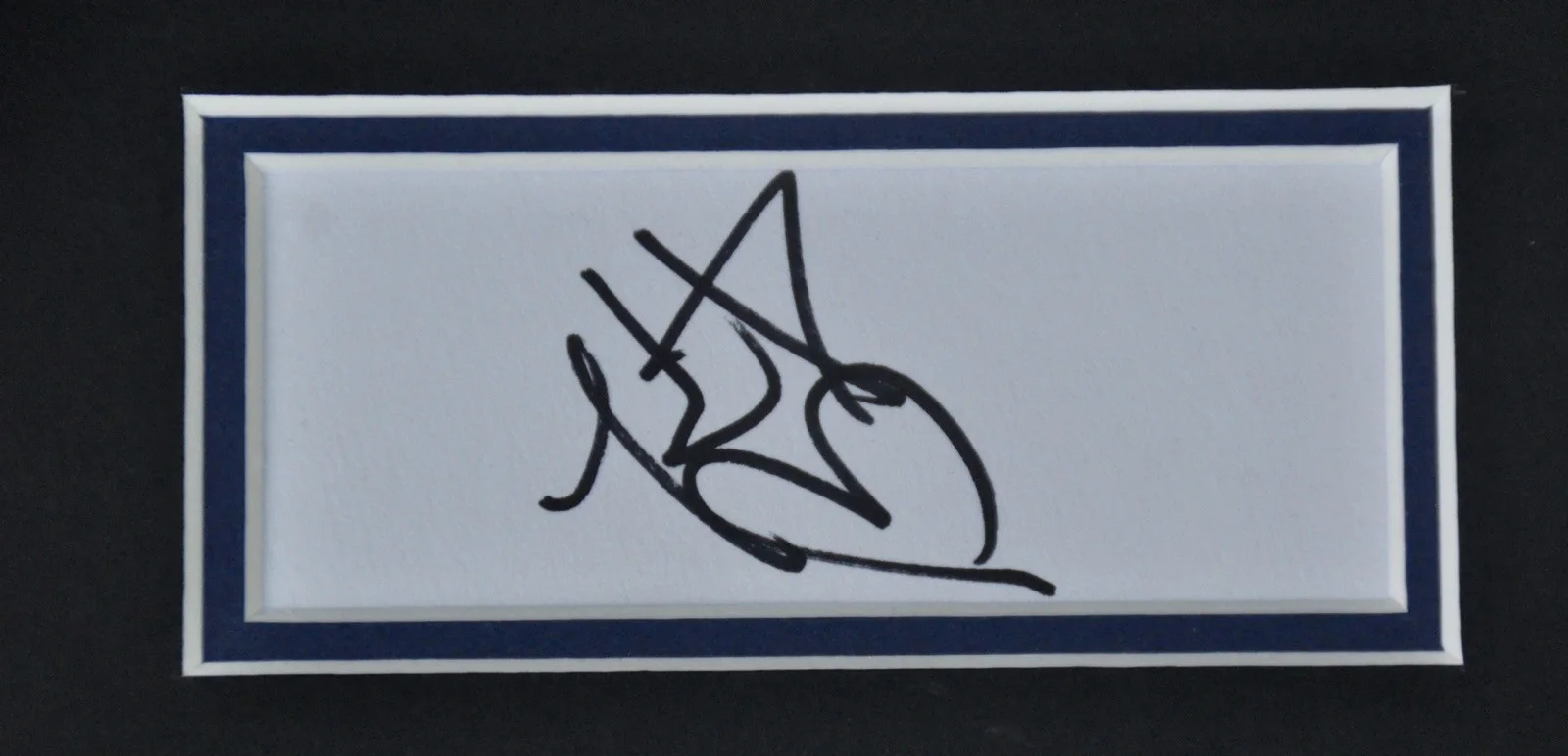 Kathryn Newton Signed A4 Double Mounted Presentation With COA Freaky Ant Man, image 2