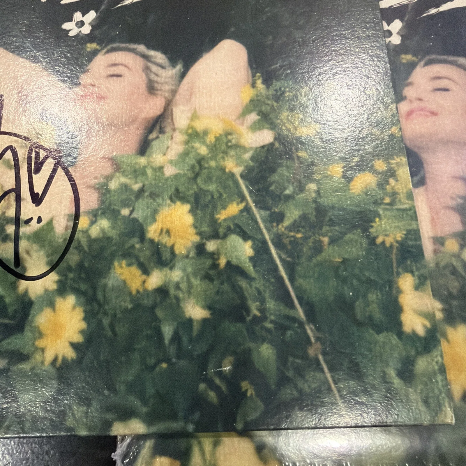 Katy Perry Autographed Daisies Yellow 7 Inch Vinyl, image 4