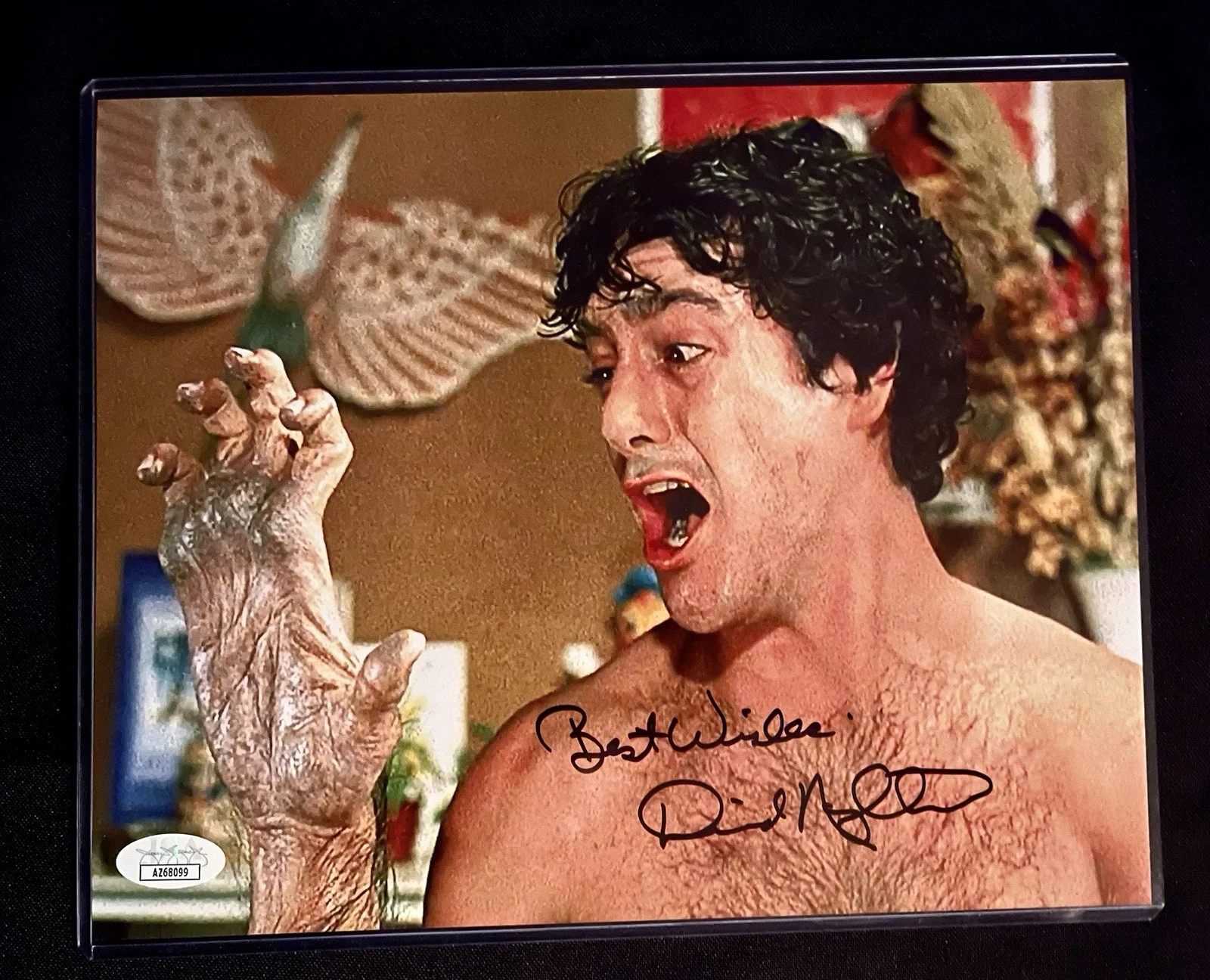 David Naughton — David Naughton An American Werewolf in London Signed 8x10 Photo JSA COA