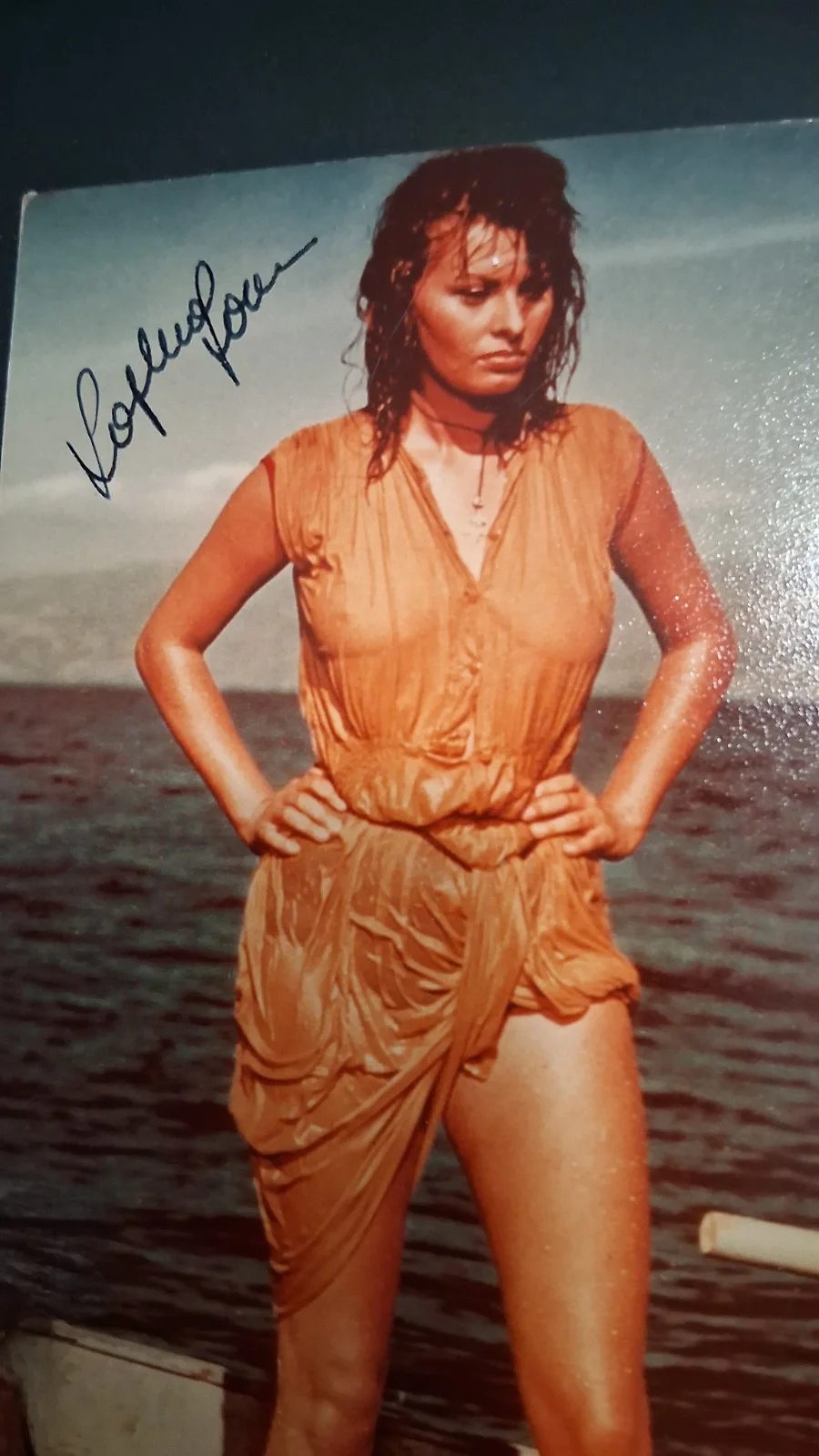 Sophia Loren — Sophia Loren signed color photo, image 2