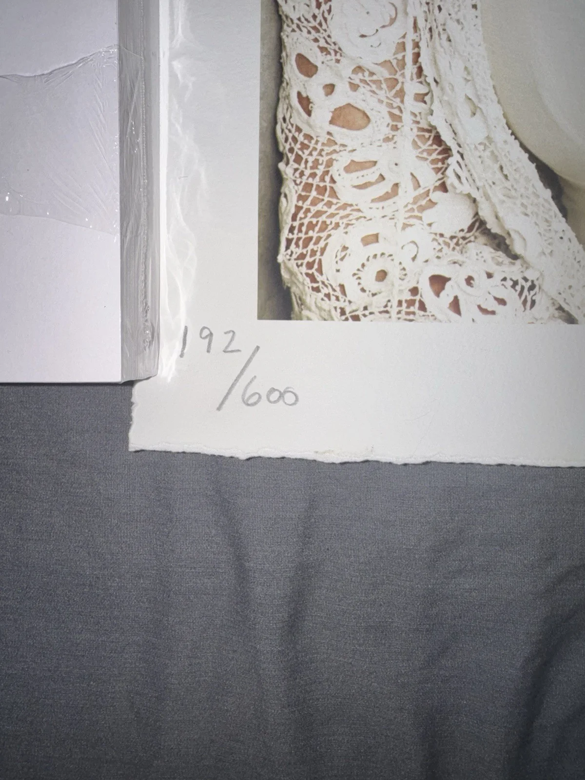 Cher Signed 21x16 Caesars Palace Giclee Print #d 192/600 Rare - BEAUTIFUL !, image 3
