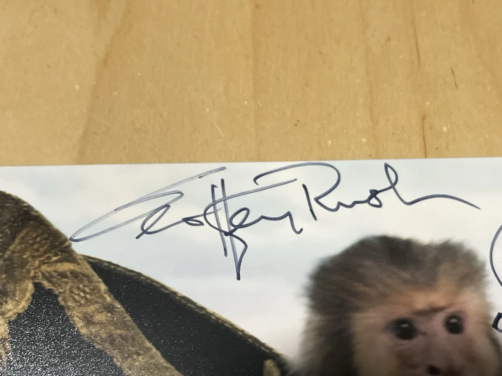 Geoffrey Rush — Geoffrey Rush Signed Autographed 8x10 Pirates Caribbean Photo w/ Quote Beckett, изображение 5