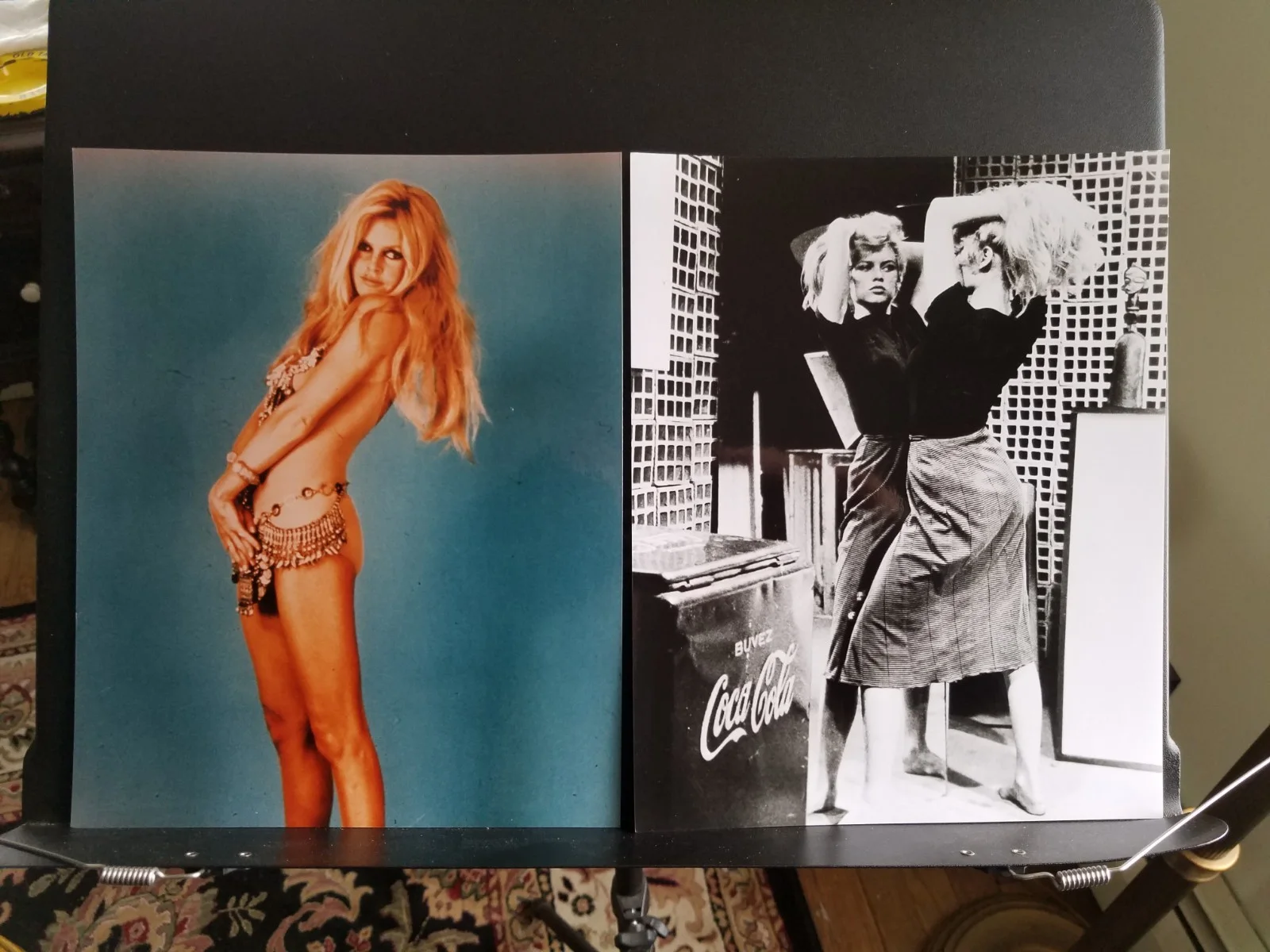 Brigitte Bardot | Set of 14 8" x 12" publicity stills | NSFW, image 4