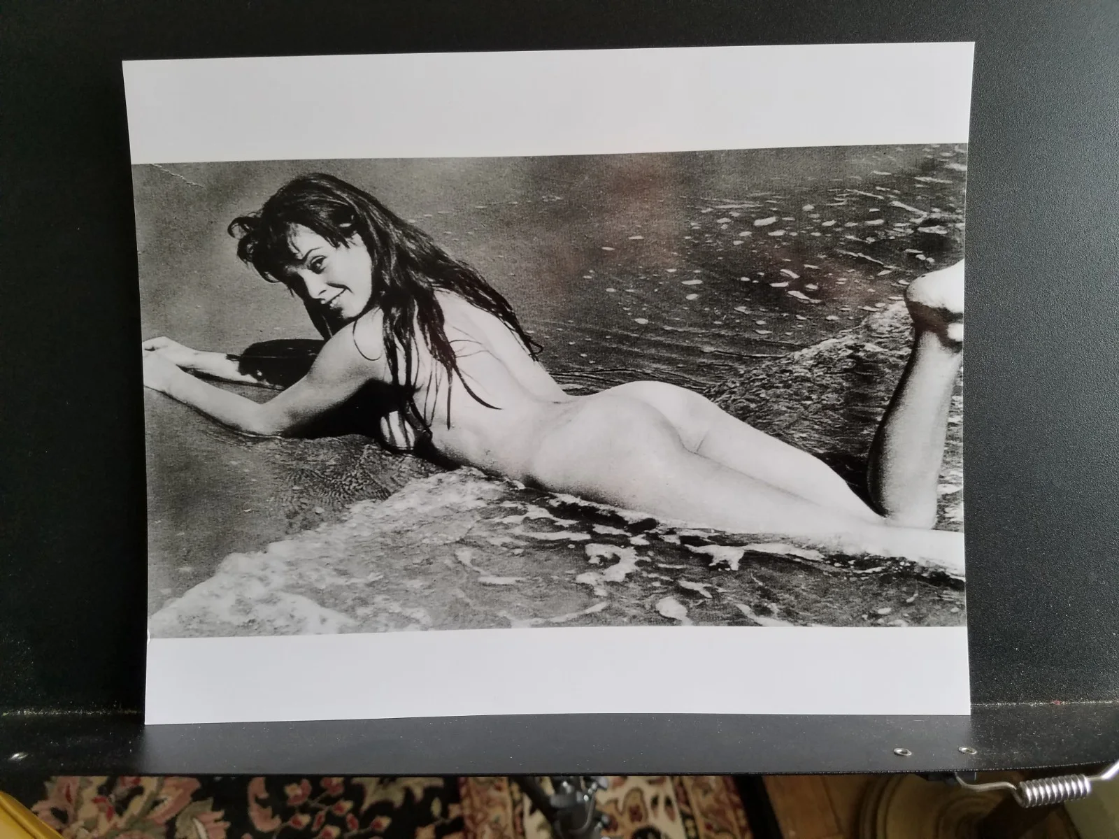 Brigitte Bardot | Set of 14 8" x 12" publicity stills | NSFW, image 5