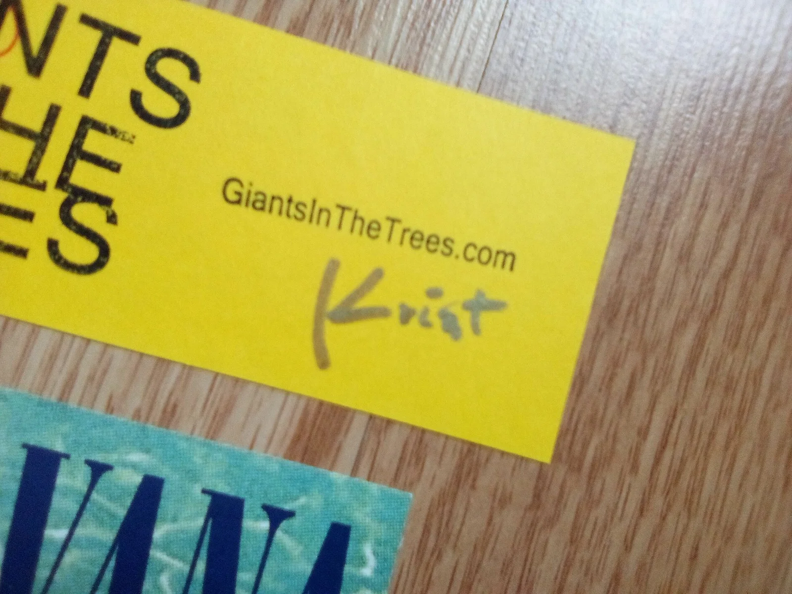 Krist Novoselic Signed Raffle Ticket Nirvana Autograph Plus Sticker Giants Trees, image 2