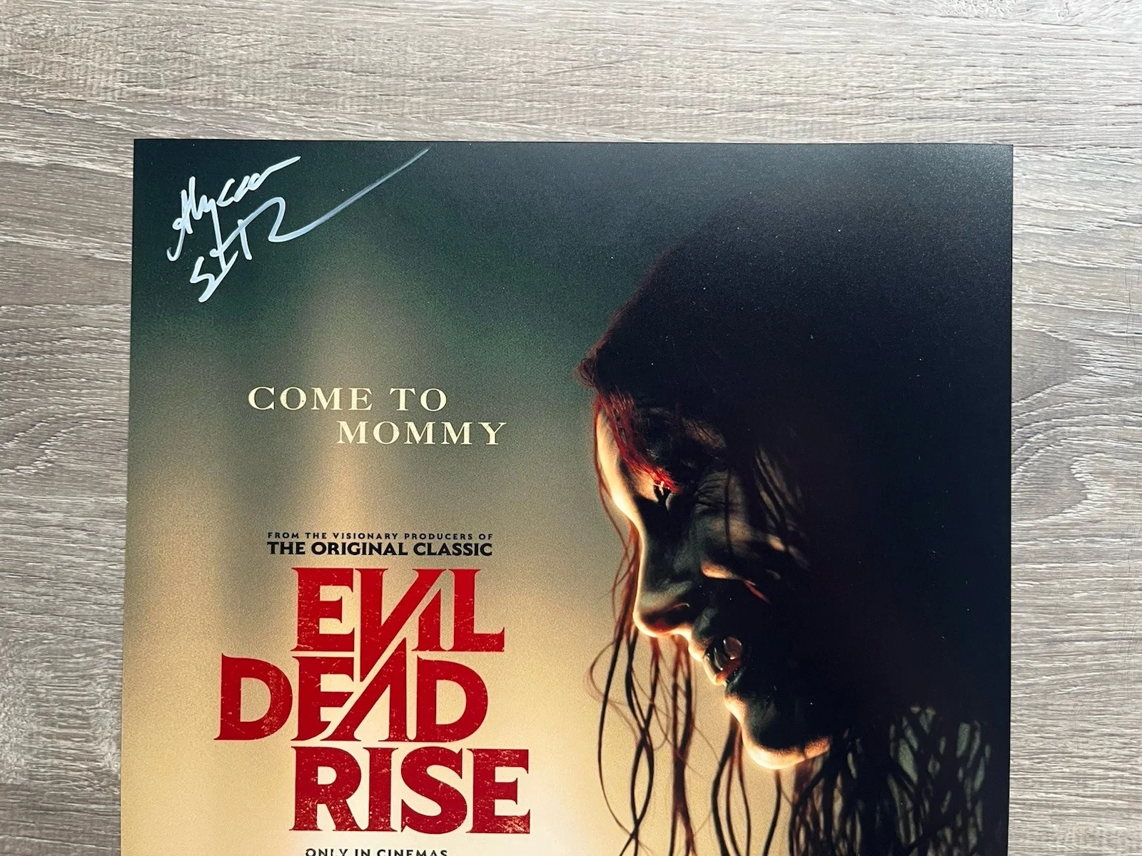 Alyssa Sutherland — Alyssa Sutherland Signed Evil Dead Rise 11x14 Photo JSA COA Ellie Horror Auto, image 3