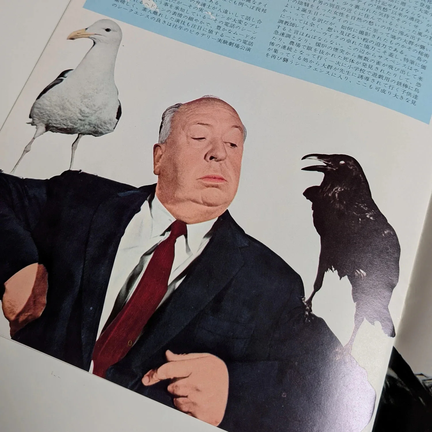 The BIRDS (1963) Vintage Japanese Movie Programme! Alfred Hitchcock, 24 pages!, изображение 5