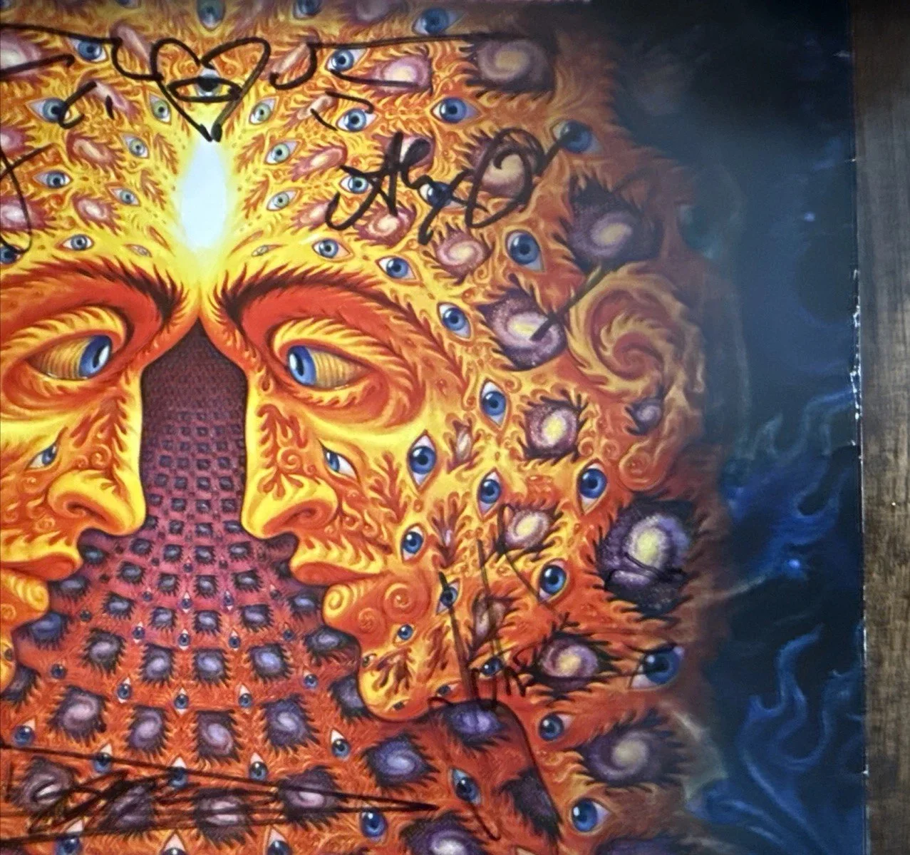 Tipper, Alex Grey & Allyson Grey, Jonathan Singer Signed Event poster, 11/19/11, изображение 5