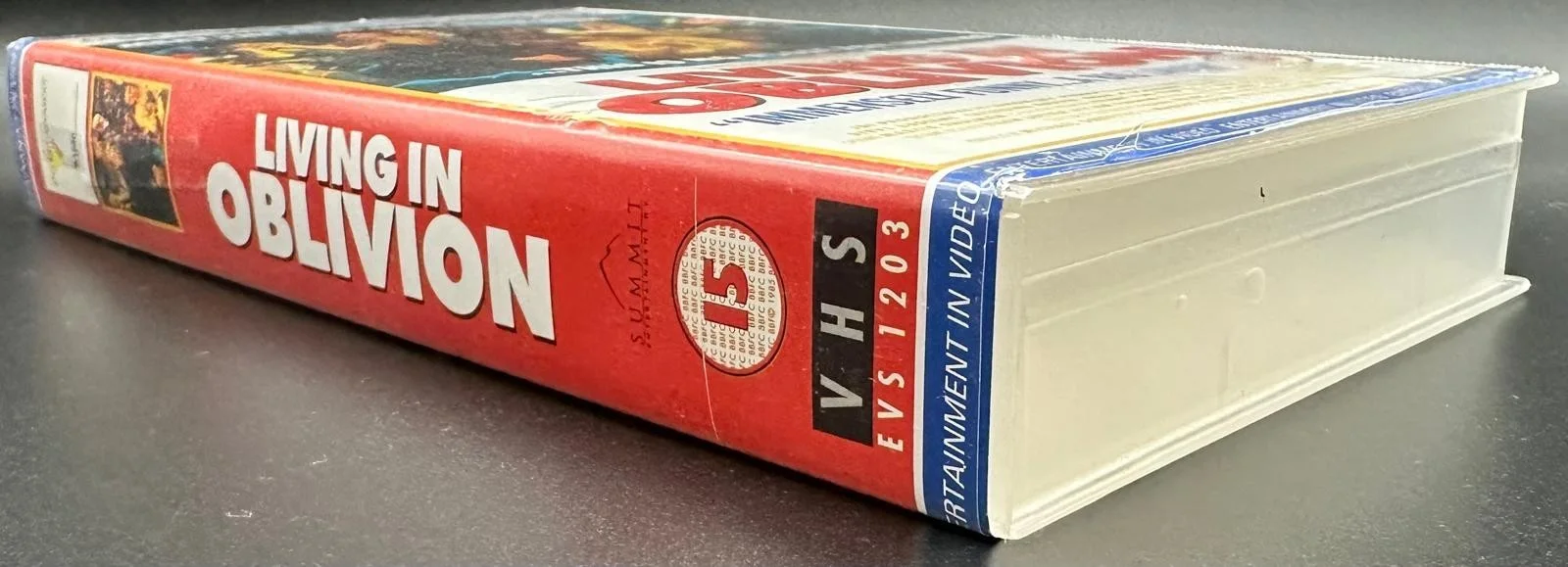 Living in Oblivion VHS (1995) Tom DiCillo Steve Buscemi UK PAL – Hard to Find, изображение 4