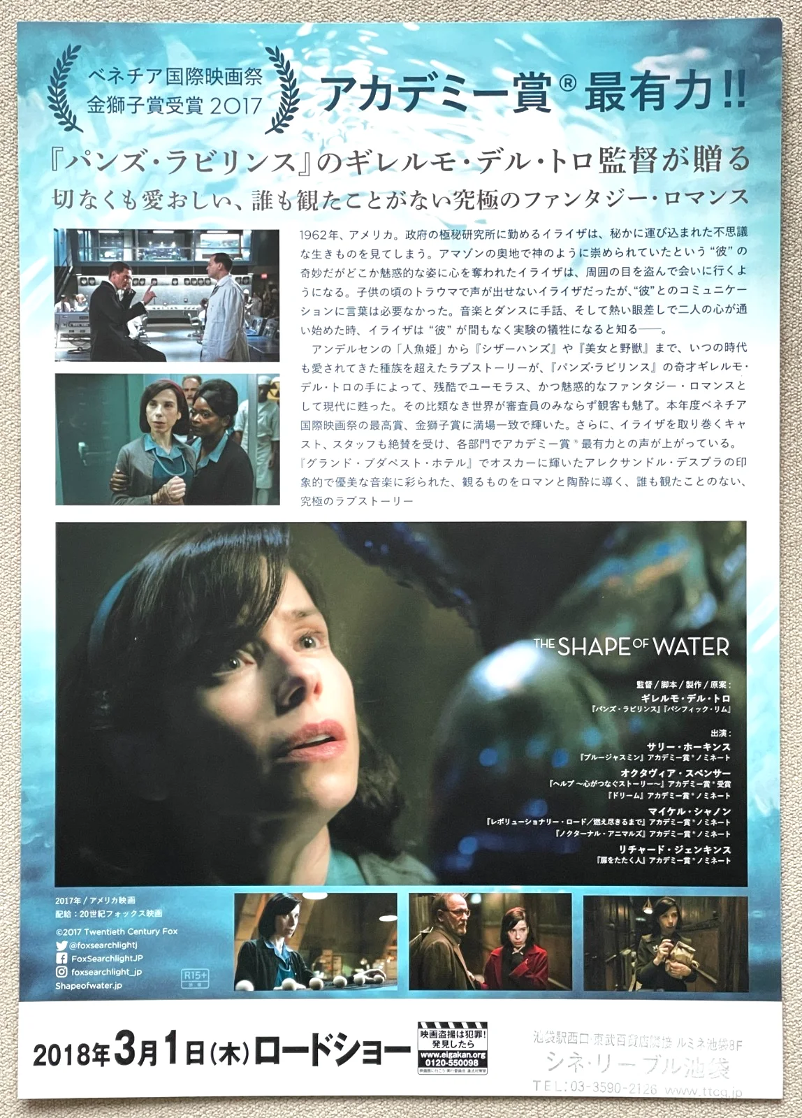The Shape of Water - 2017 japan Chirashi movie flyer mini poster B5 size, image 2