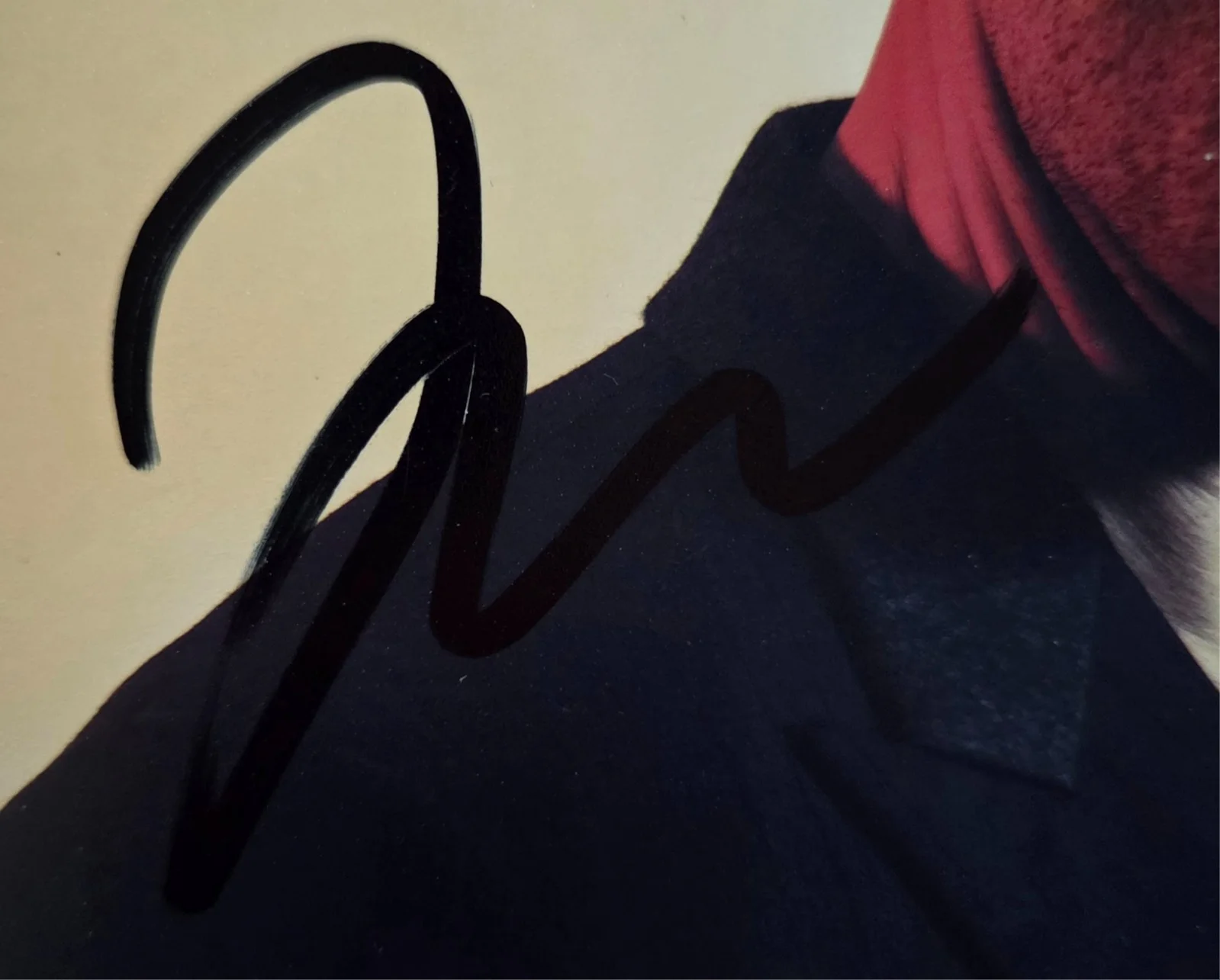 Jude Law Hand Signed Autograph 8x10 Photo In Person Proof Fantastic Beasts Actor, изображение 2