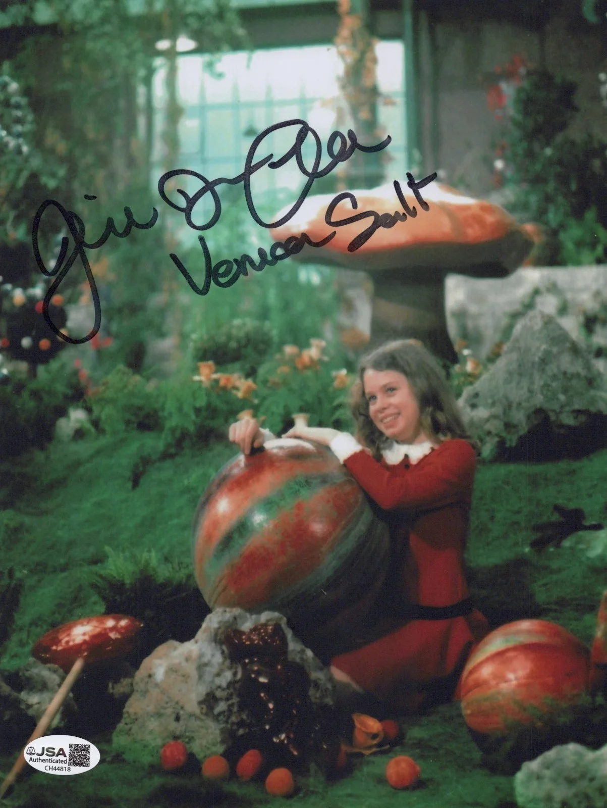 JULIE DAWN COLE — JULIE DAWN COLE Signed WILLY WONKA & THE CHOCOLATE FACTORY 8x10 Photo JSA COA