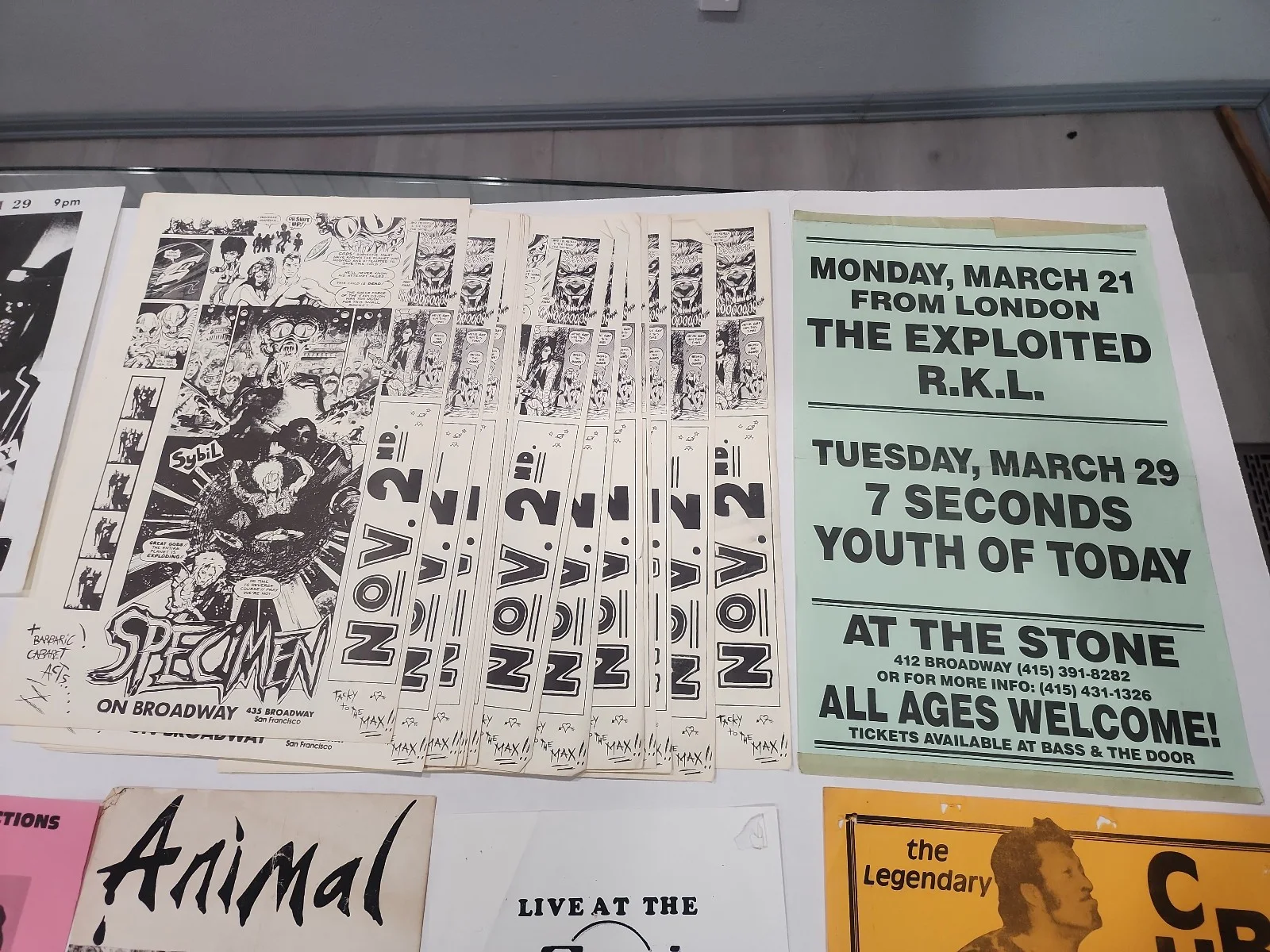 Vintage 1980s LA/San Fran Concert Poster Lot Chuck Berry, Bryan Adams Etc, изображение 4