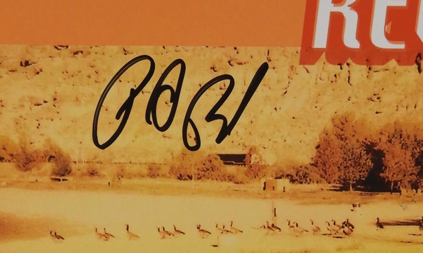 R.E.M. Beckett Signed Autograph Record Album Vinyl Reveal Michael Stipe + REM, изображение 2