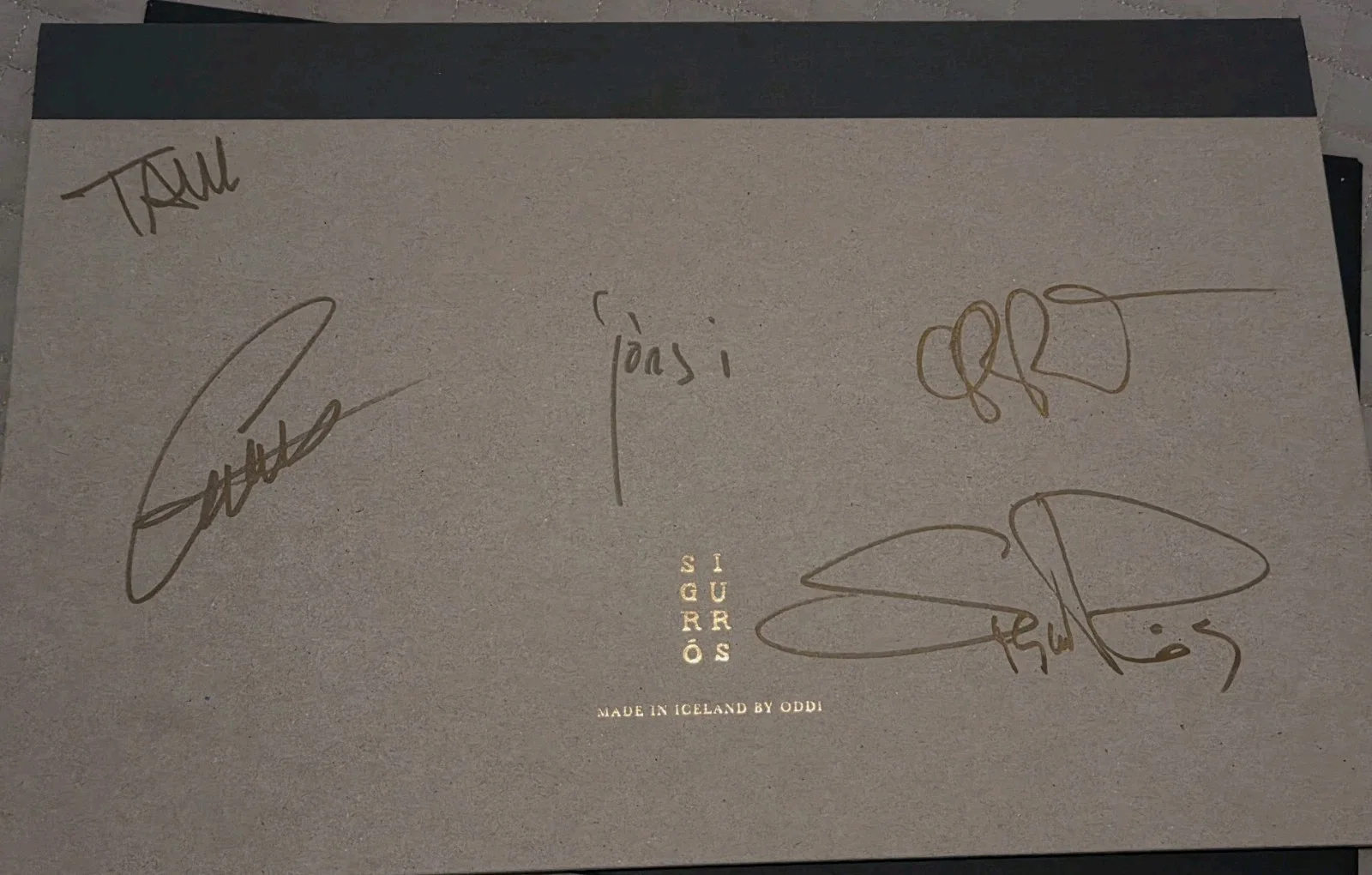Sigur Rós Signed By Band & Others 2017 Besta Tour Exclusive Prints in Portfolio, image 2