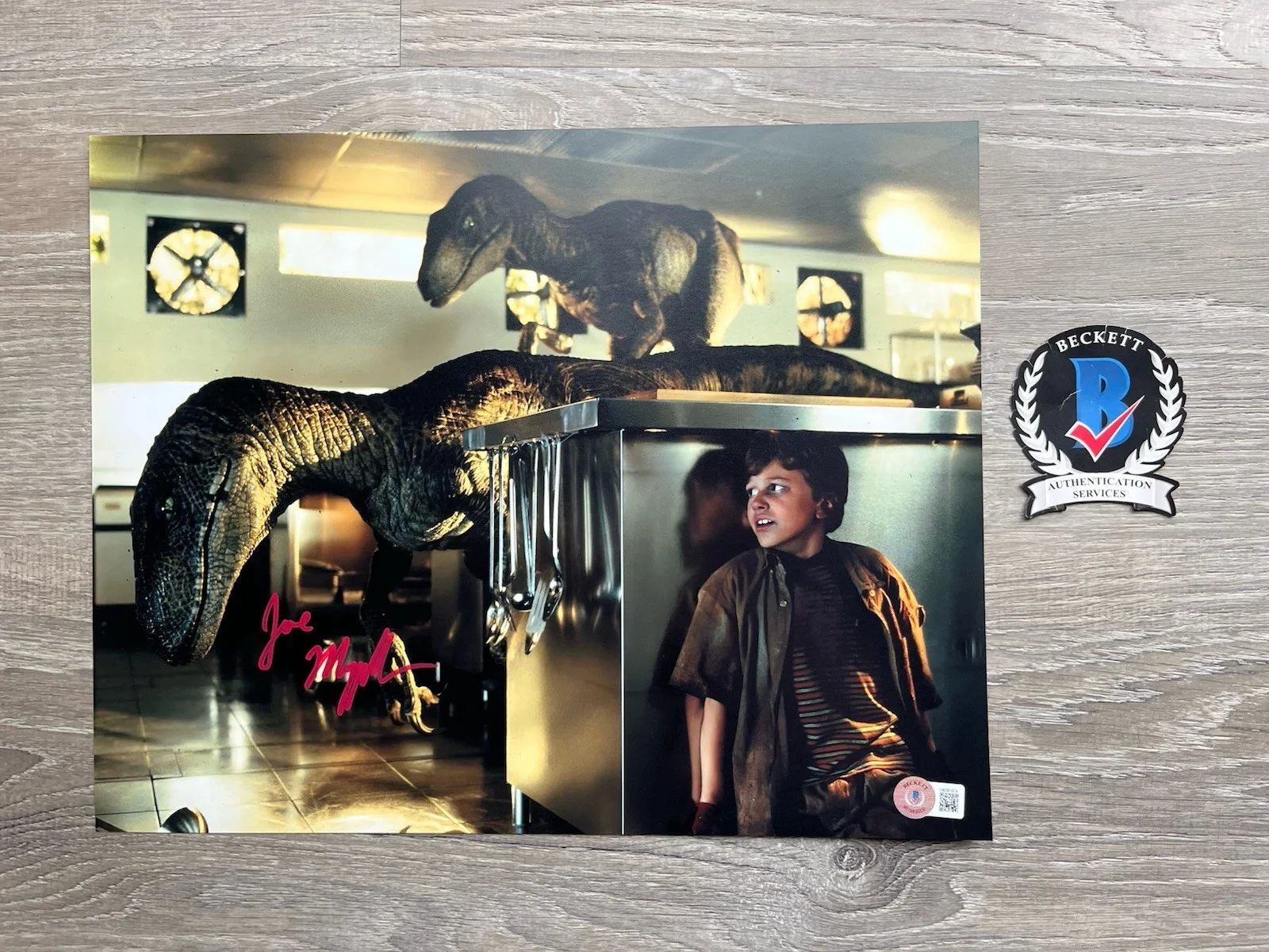 Joseph Mazzello — Joseph Mazzello Signed Jurassic Park 11x14 Photo Beckett COA Tim Murphy