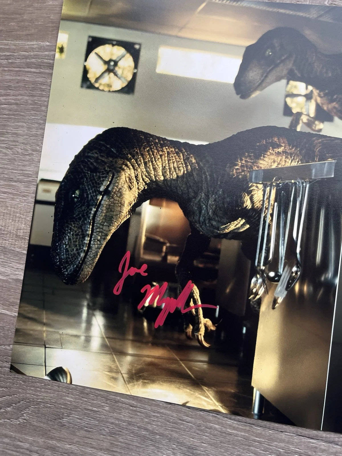 Joseph Mazzello — Joseph Mazzello Signed Jurassic Park 11x14 Photo Beckett COA Tim Murphy, image 4