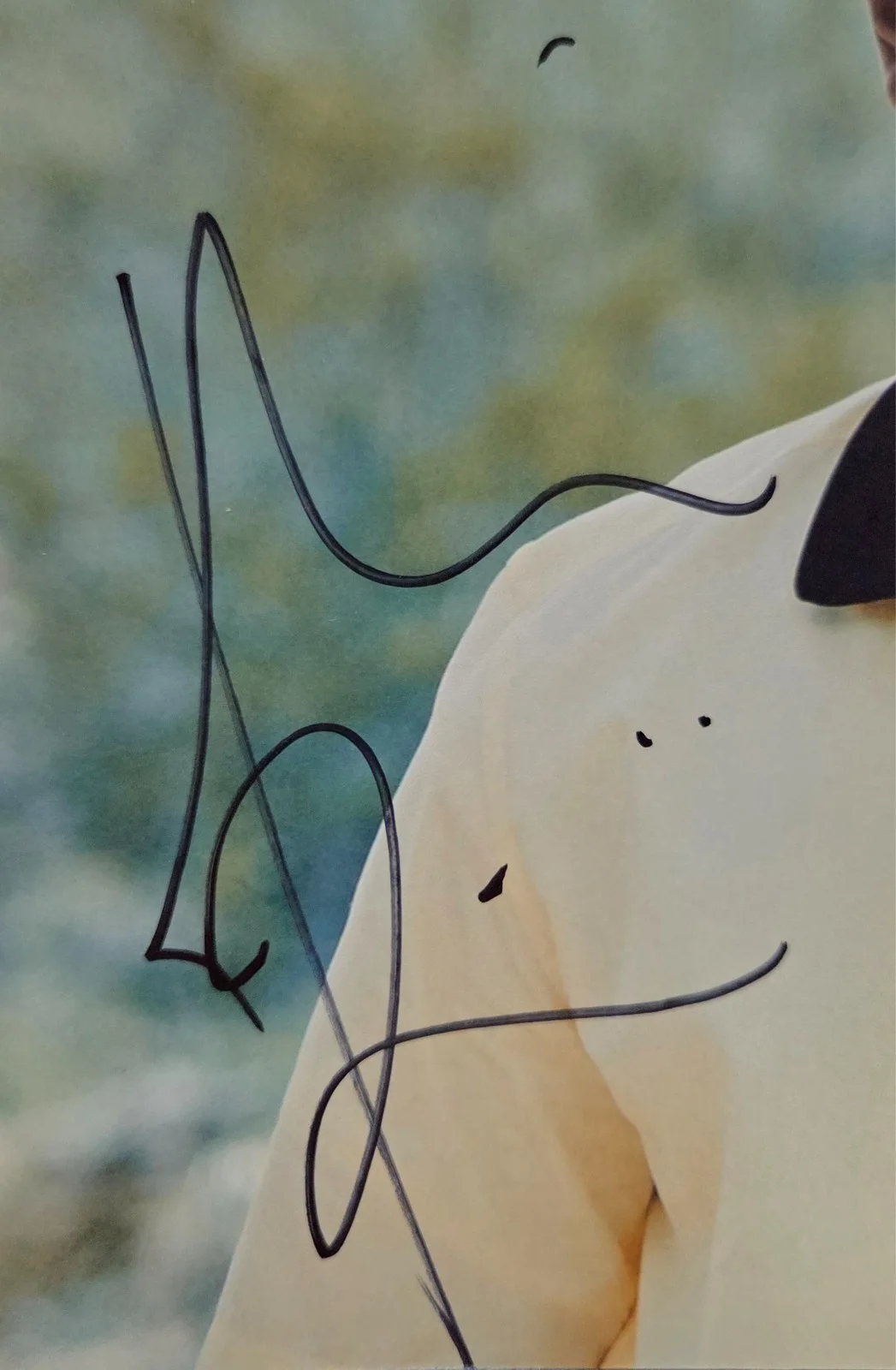 Himesh Patel Hand Signed Autograph 8x10 Photo In Person Proof Yesterday Actor, изображение 2