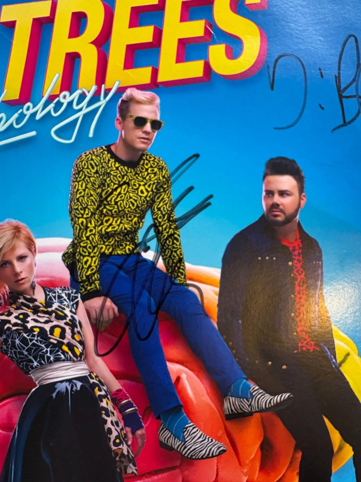 REAL HAND SIGNED - Neon Trees Pop Psychology 2014 US Tour Poster 12x12 in, image 4