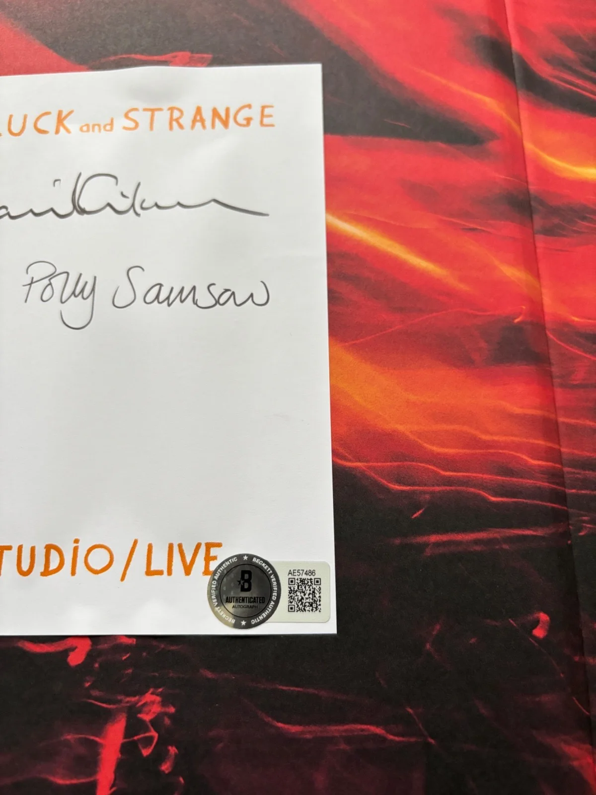 DAVID GILMOUR SIGNED LUCK AND STRANGE STUDIO LIVE HARDCOVER BOOK PINK FLOYD BAS, изображение 4