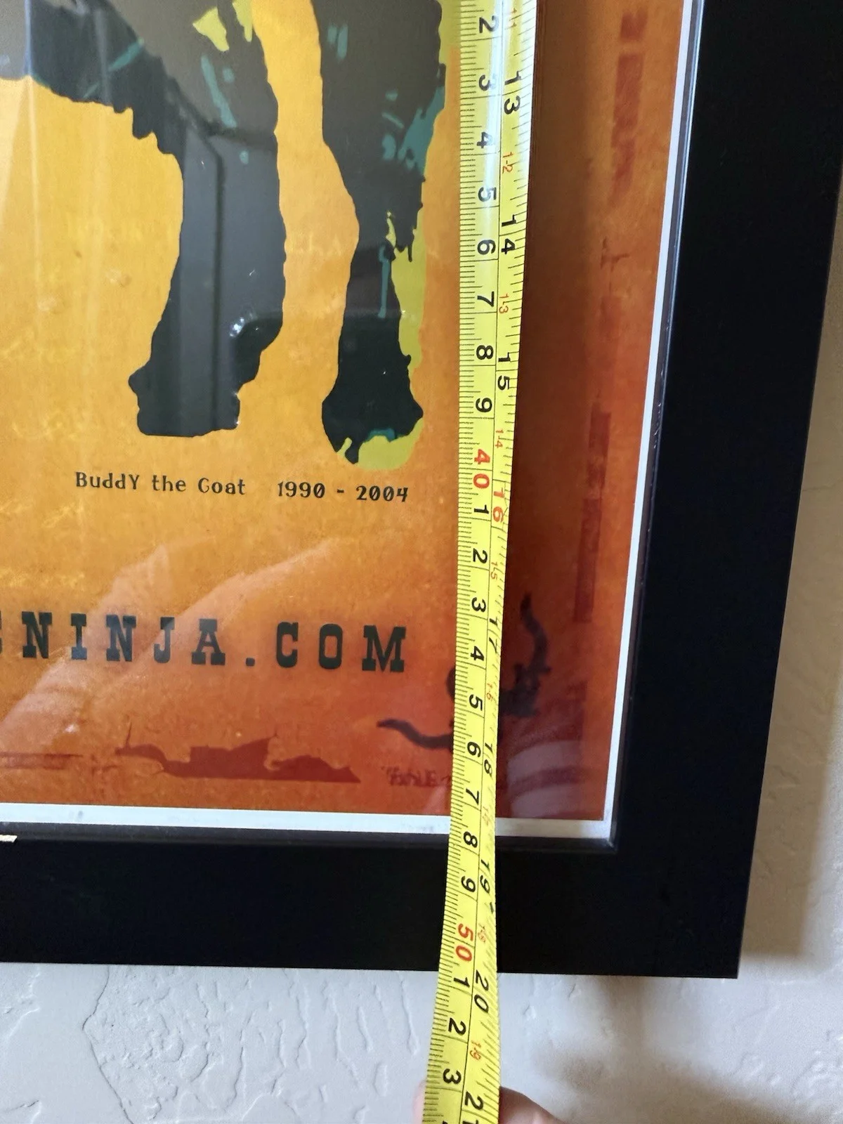 2 TRACE BUNDY ACOUSTIC NINJA FRAMED SIGNED MUSIC POSTERS ORIGINAL, image 5