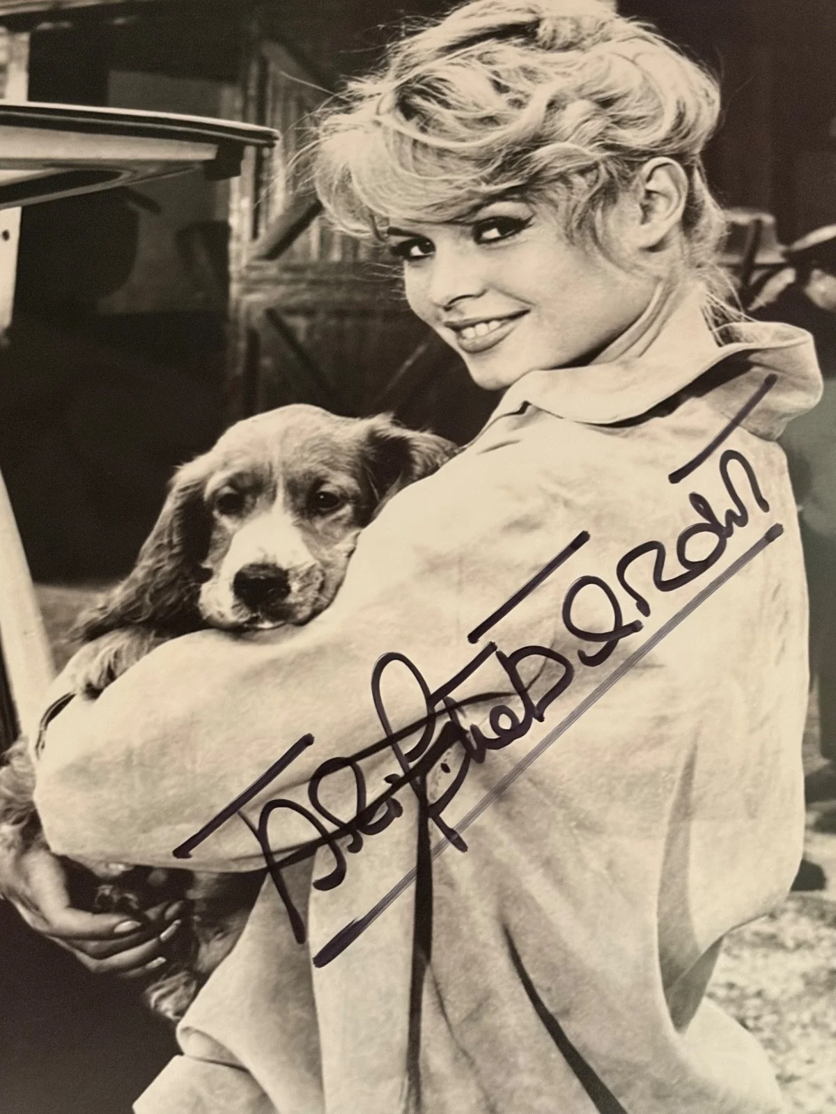 Bridget Bardot — Bridget Bardot Signed JSA Size 8x10, image 2