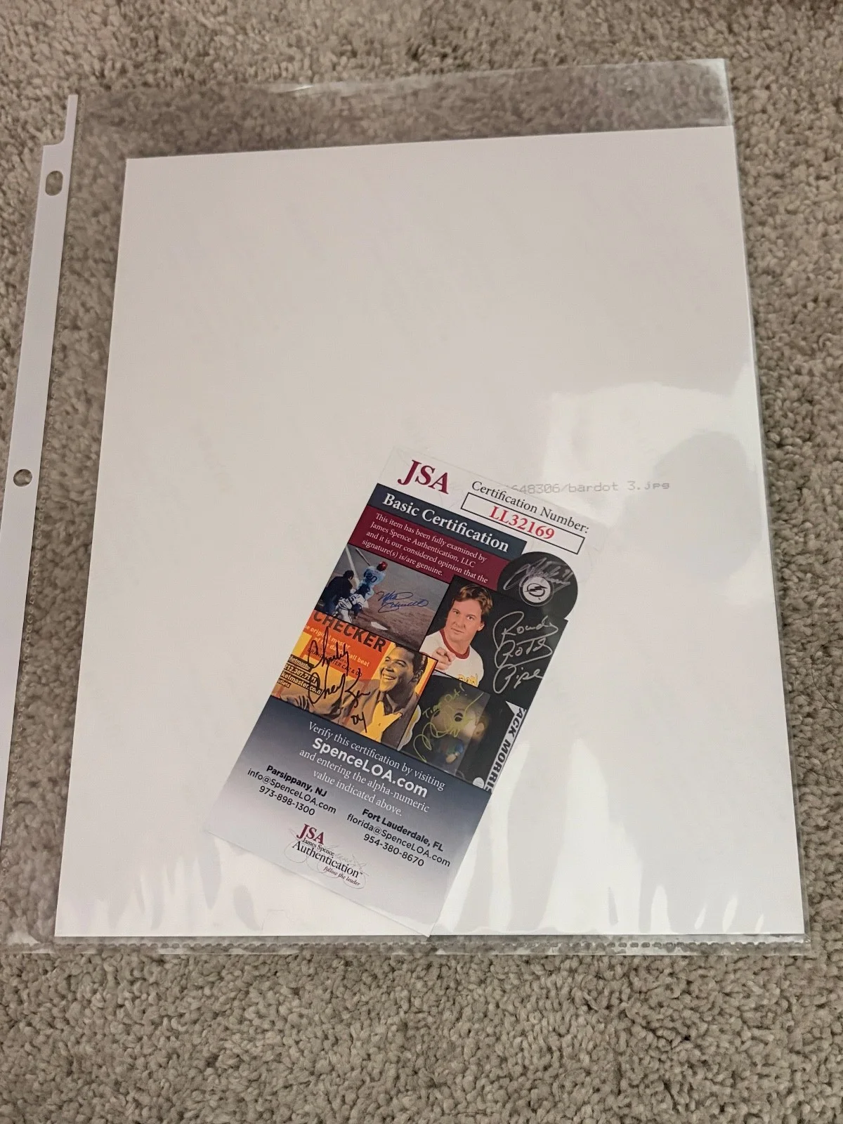 Bridget Bardot — Bridget Bardot Signed JSA Size 8x10, image 3