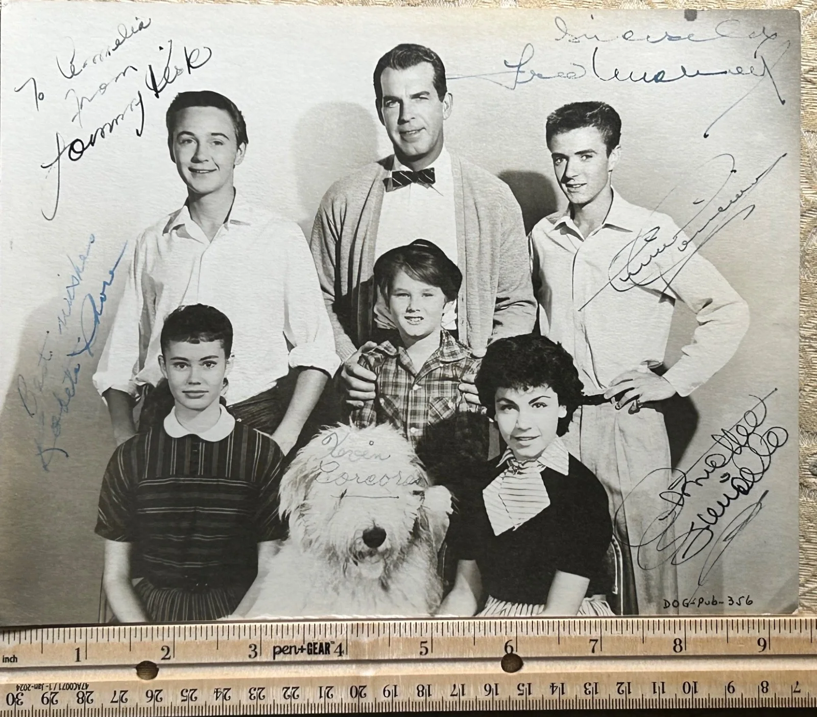 DISNEY Shaggy Dog CAST SIGNED—MacMurray•Kirk•Funicello•Corcoran•Considine•Shore, изображение 2