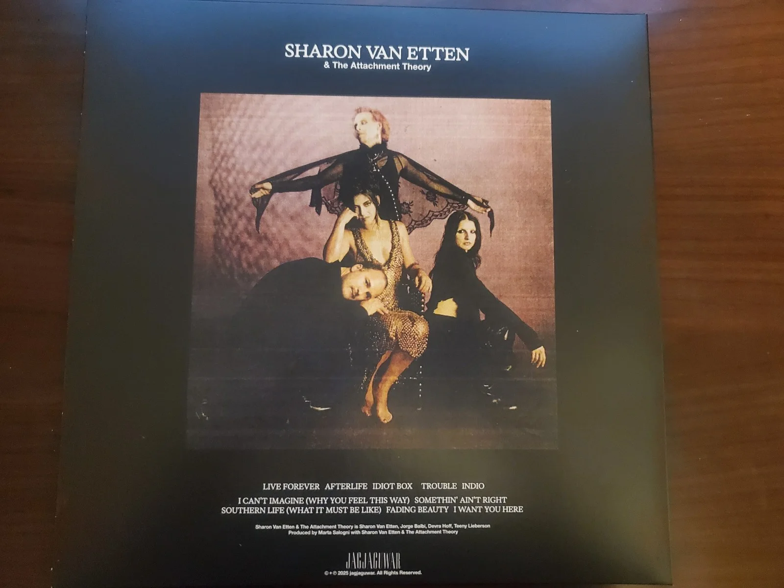 Sharon Van Etten & The Attachment Theory - Ltd Ed **SIGNED** Blue Marble Vinyl, изображение 5