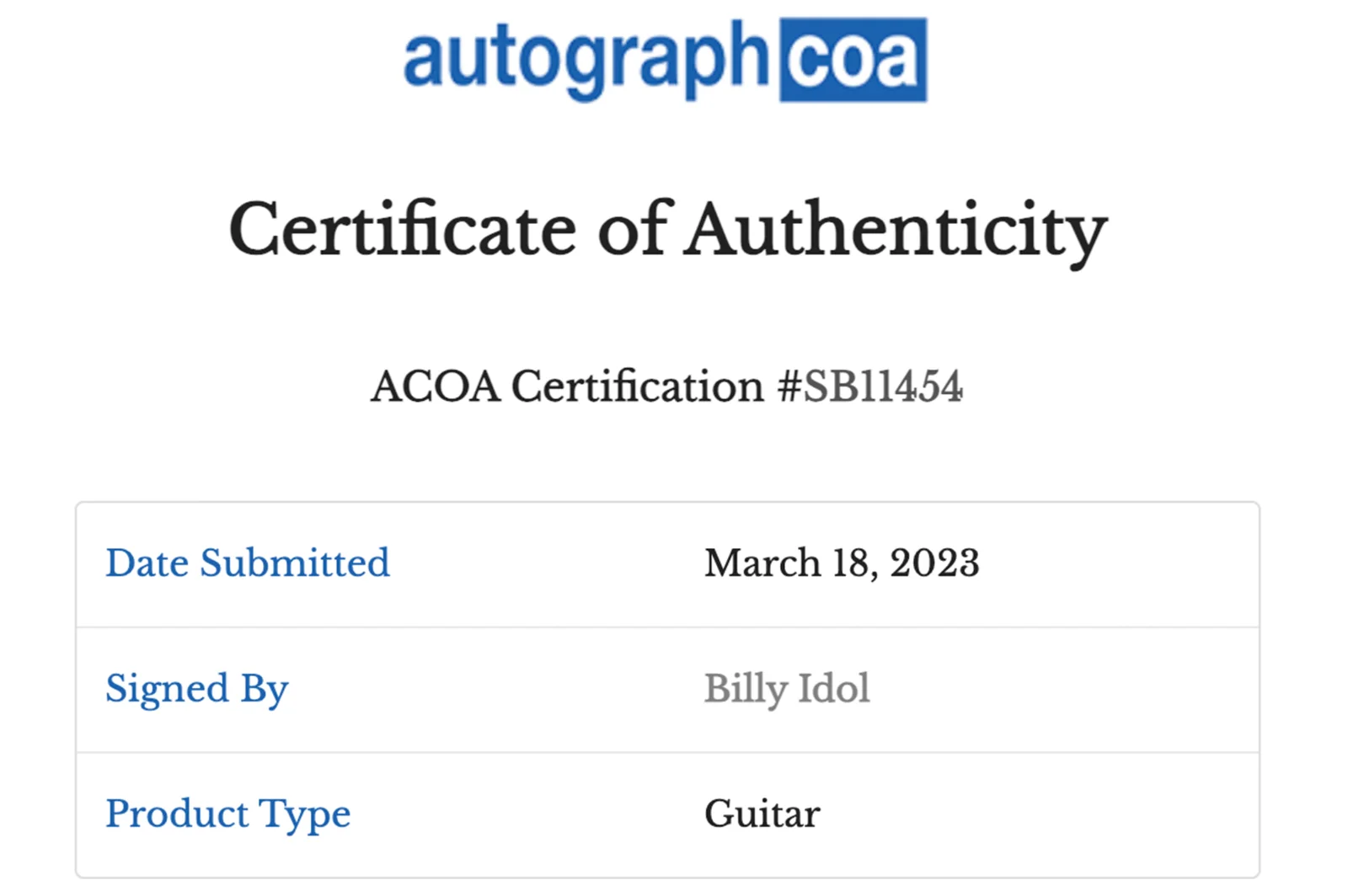 Billy Idol Autographed Guitar (ACOA), image 3
