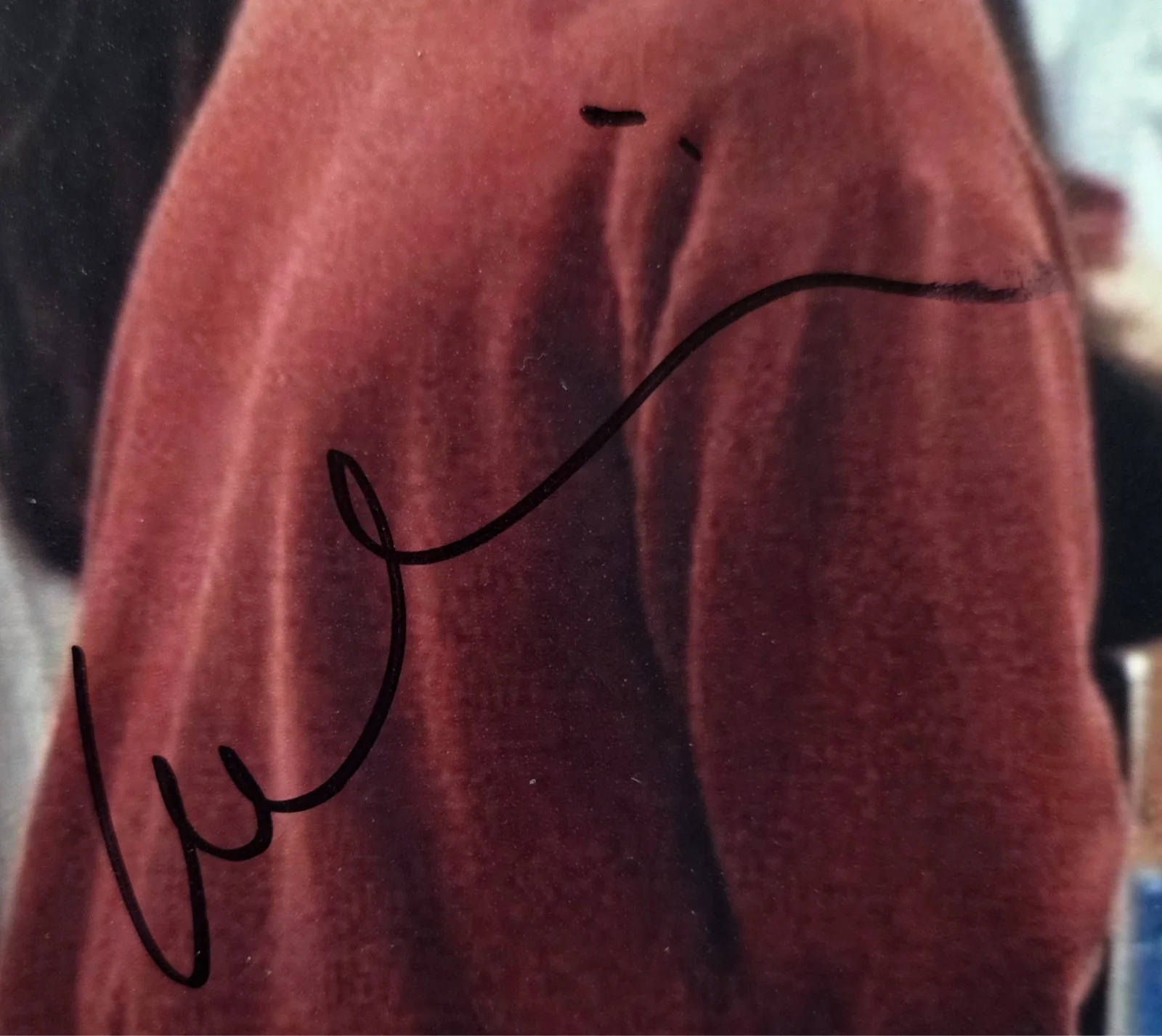 Isabella Rossellini Hand Signed Autograph 8x10 Photo In Person Proof Friends, изображение 2