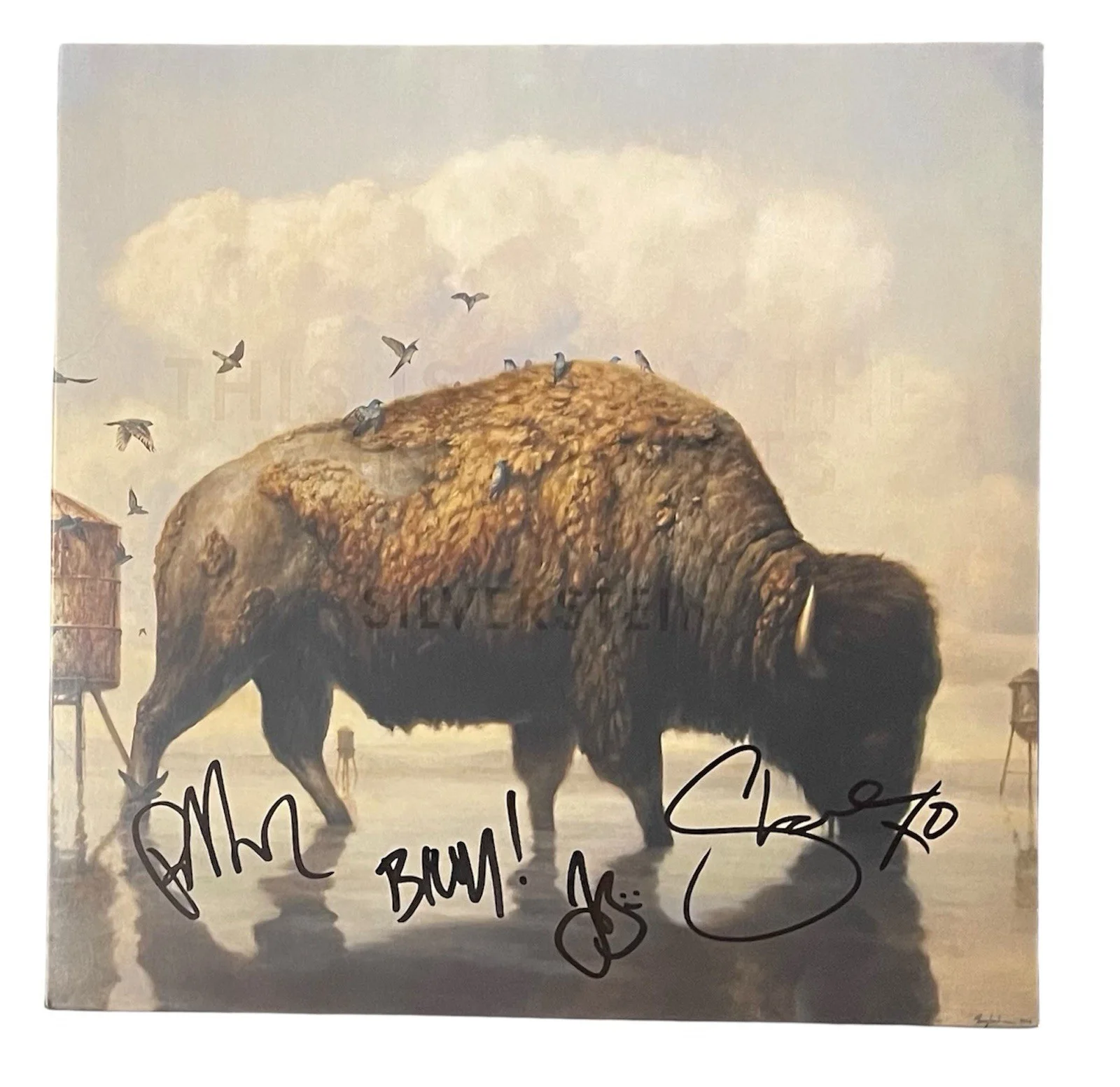Silverstein Signed Autographed This Is How The Wind Shifts Tricolor Vinyl ACOA, image 2