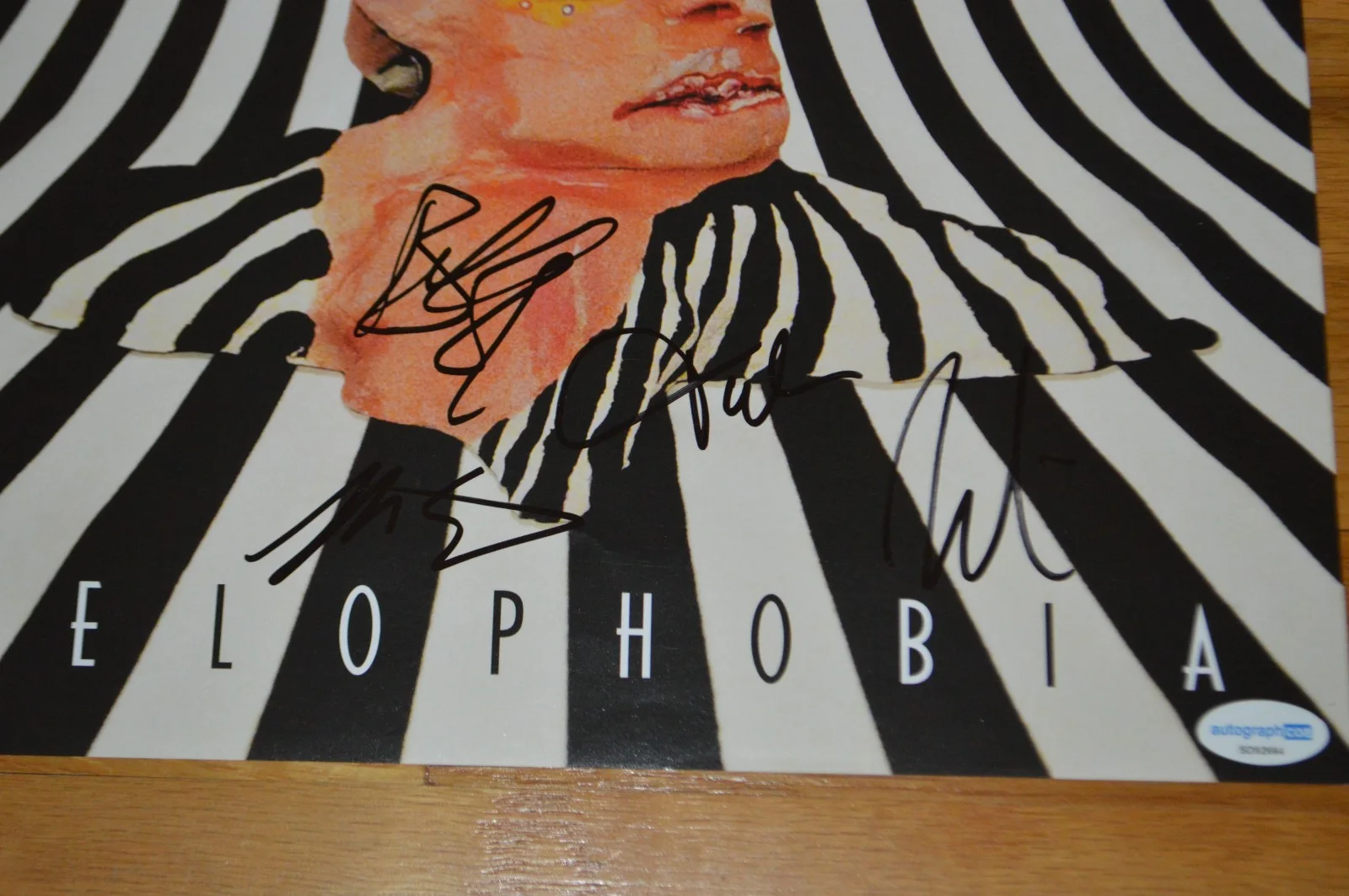 Cage The Elephant Band Signed "Melophobia" Vinyl LP Insert w/ AUTOGRAPH Hologram, изображение 2