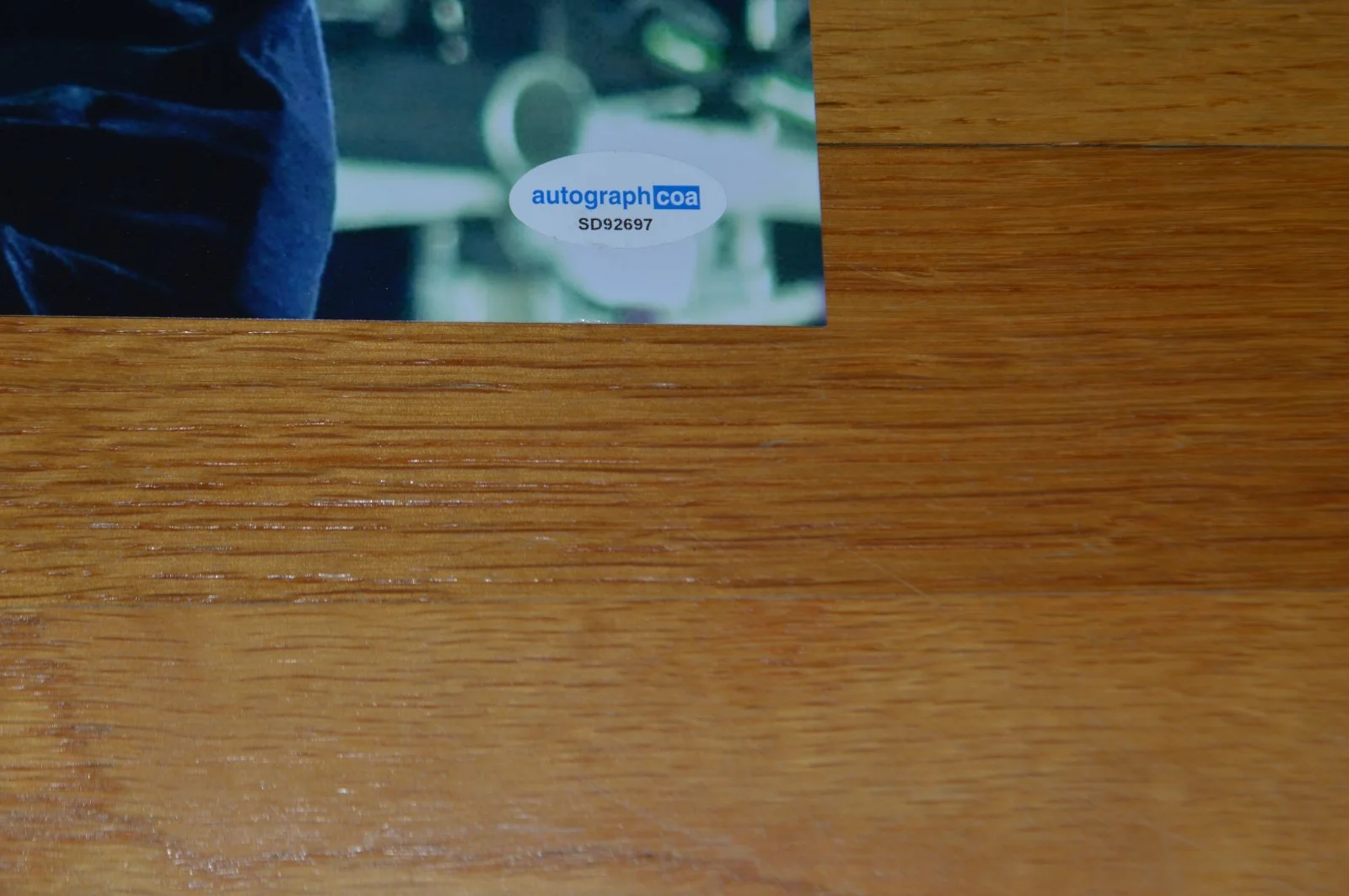 PEARL JAM ~ Stone Gossard Autographed 11x14 Photo with AUTOGRAPH Hologram, image 3