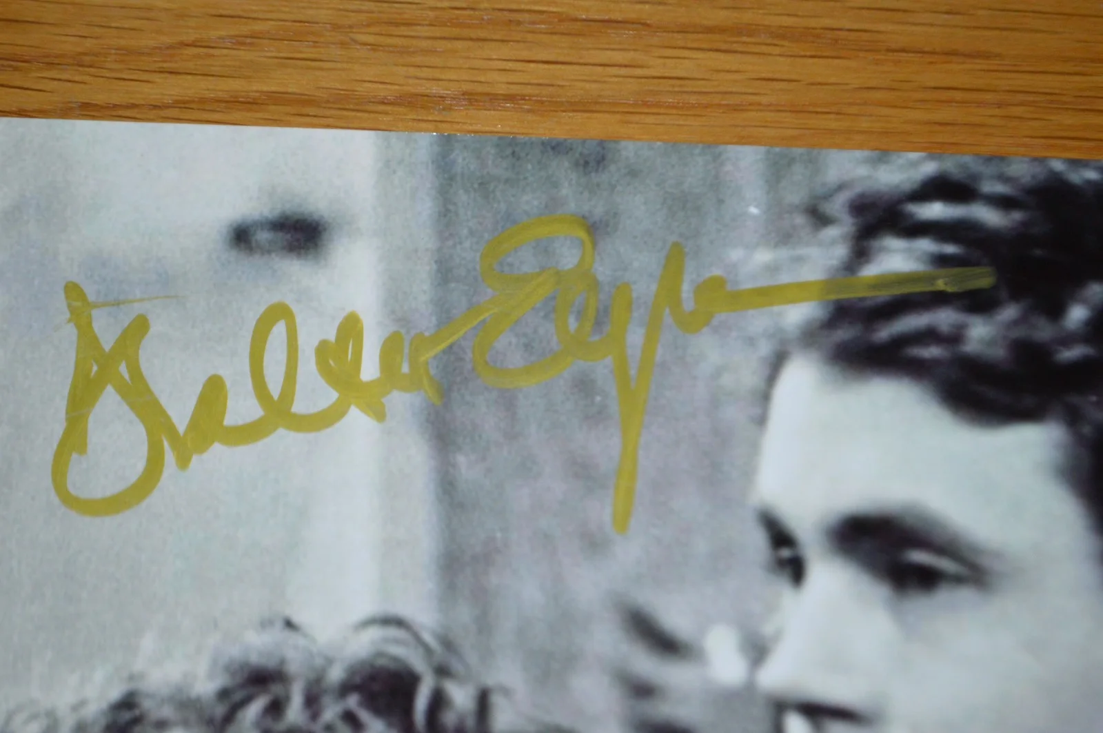 Walter Egan Autographed 8x10 B/W Photo with JSA COA ~ Rare, image 3