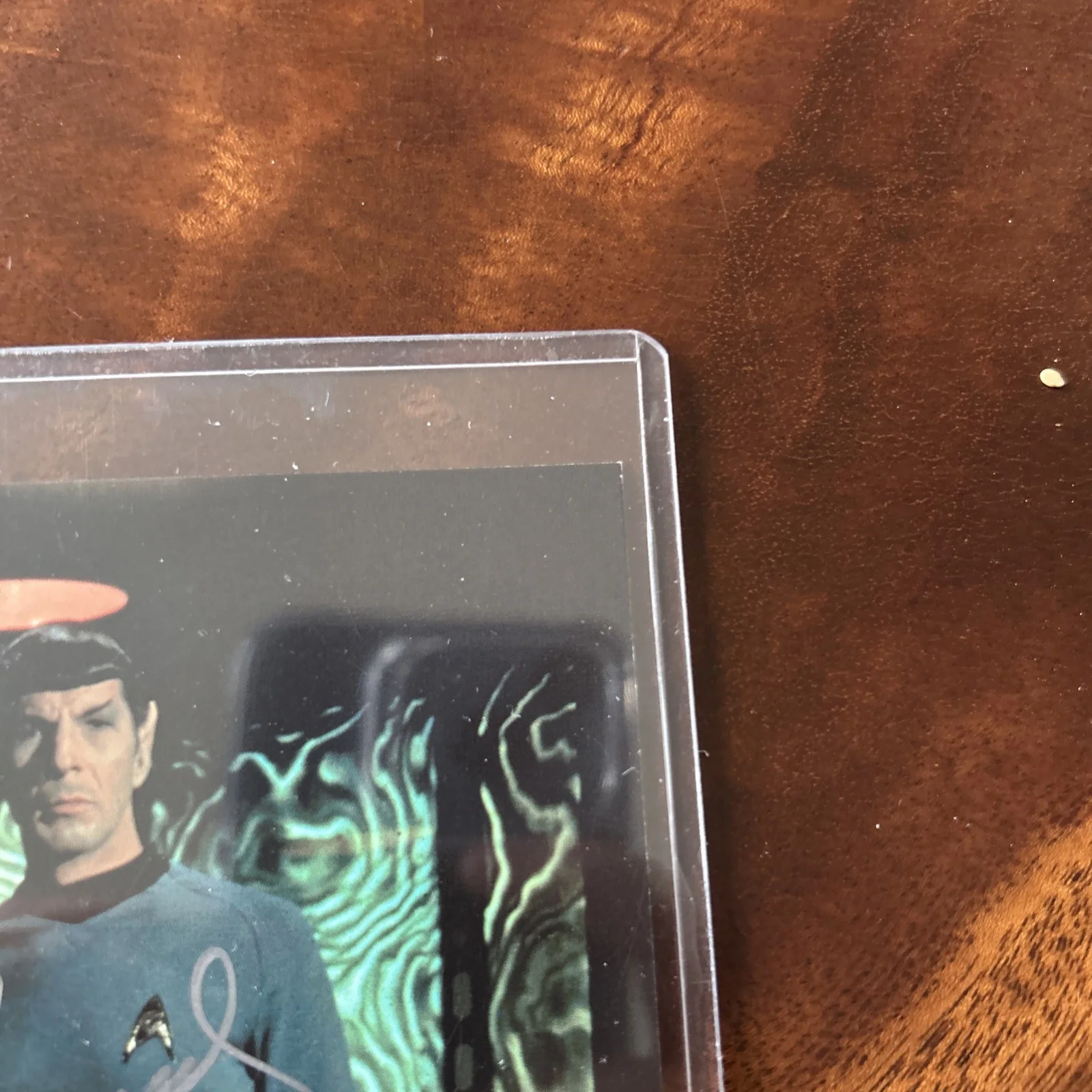 Leonard Nimoy William Shatner DeForest Kelley 8x10 Autograph Authenticity Card, изображение 2